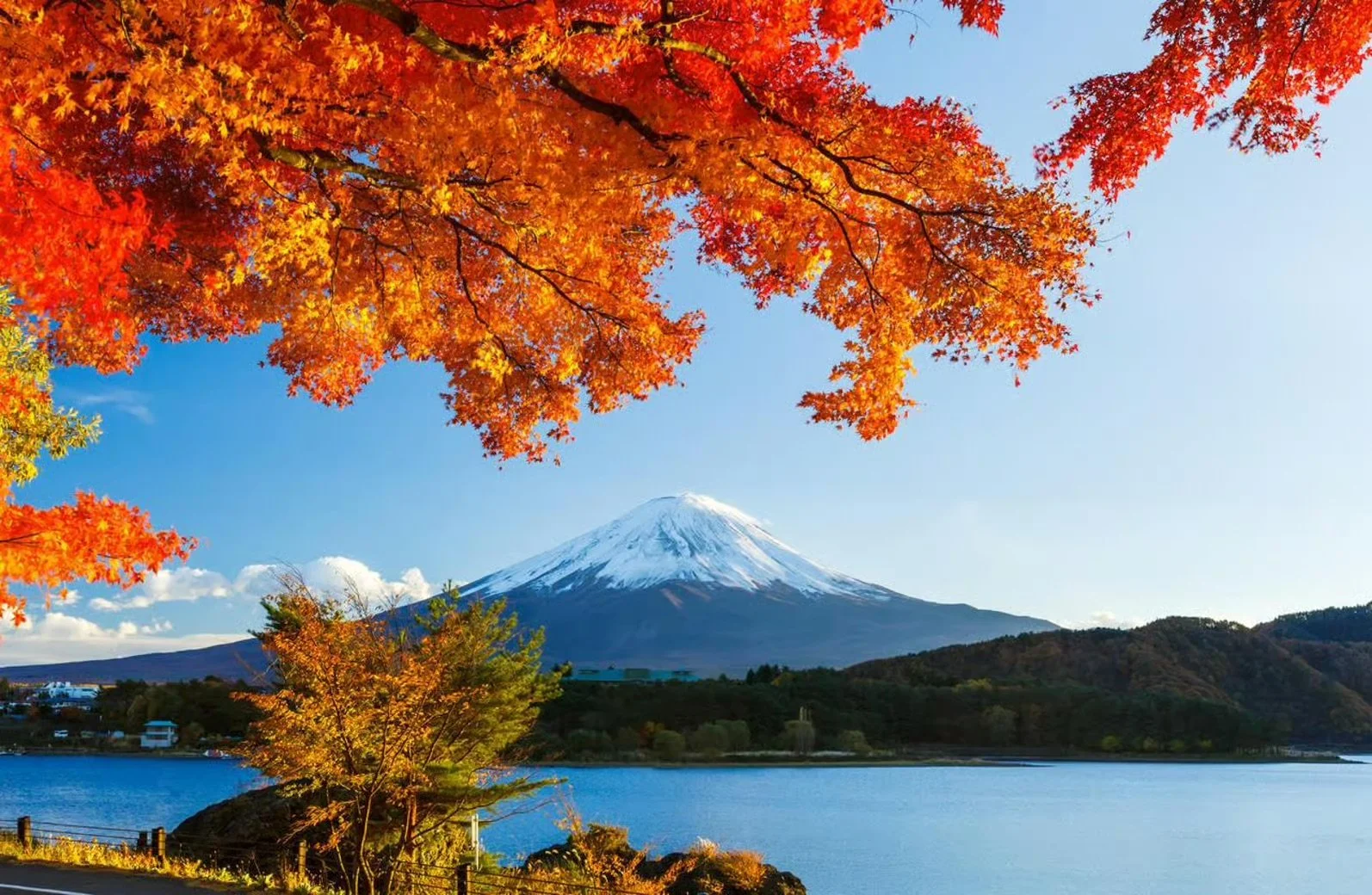 mt-fuji-tour-lake-kawaguchiko-autumn-view.jpeg