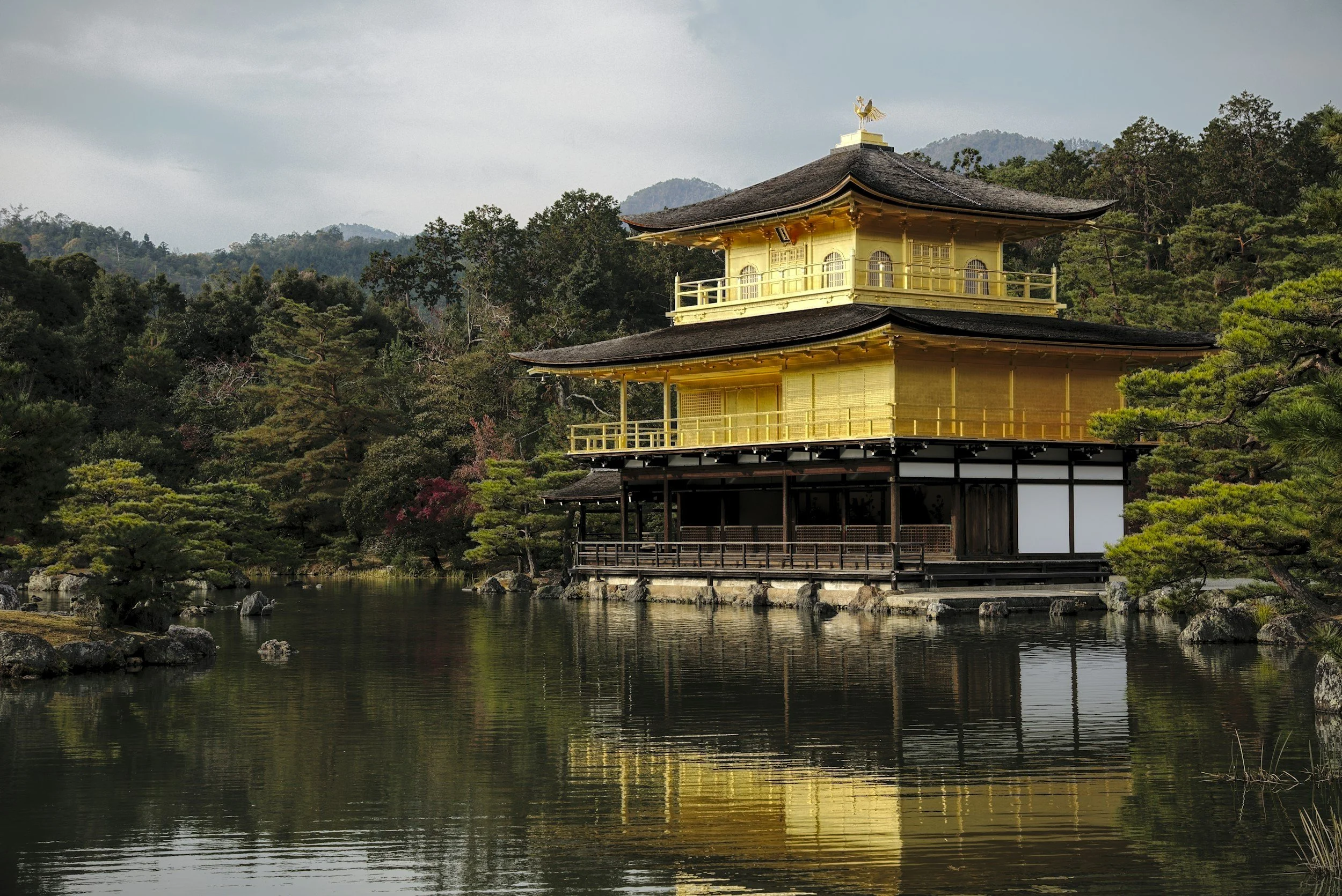 Golden Pavilion in Kyoto during a private tour in Japan