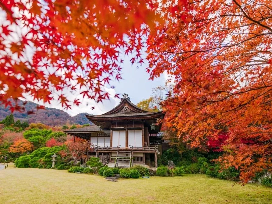 okochi-sanso-villa-fall-colors-kyoto-japan-1009.jpg