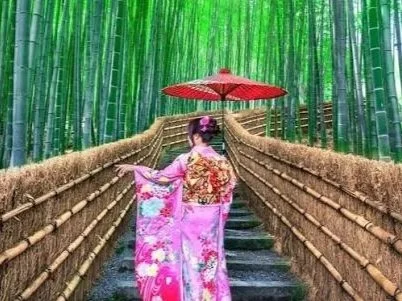 arashiyama-bamboo-grove-kyoto-forest-guide-private-tour.jpg