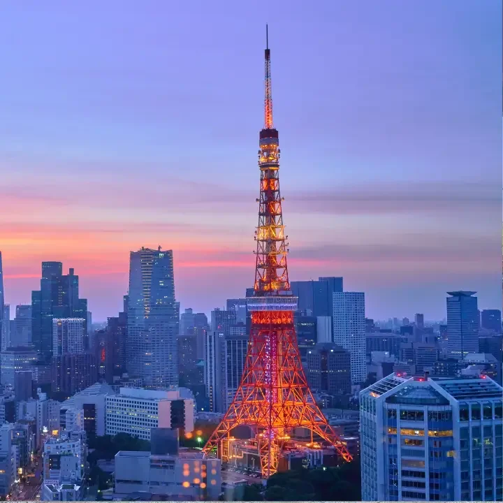 tokyo-tour-tokyo-tower-skyline.webp