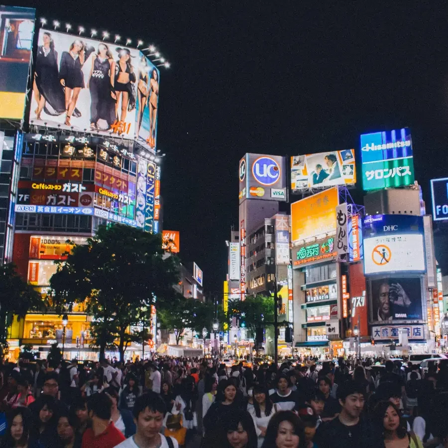 Tokyo Region Package (4-days) — Up to 5 pax