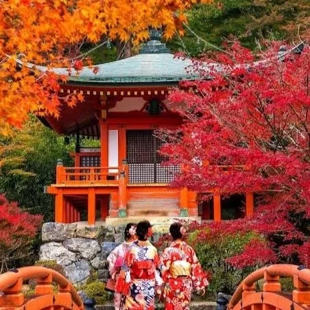 kyoto-fall-autumn-tour-japan-guide-image.jpg