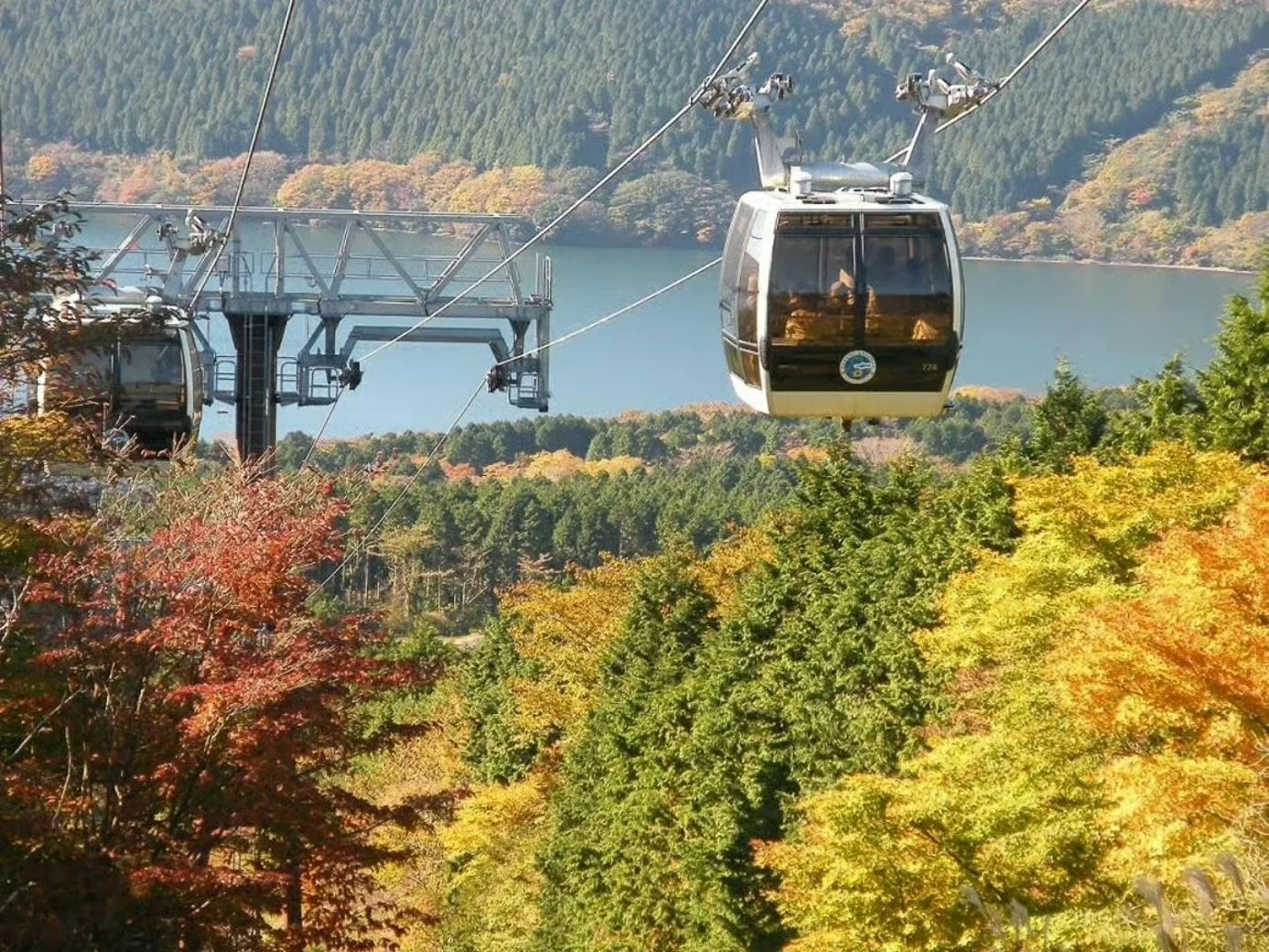 hakone-tour-ropeway-lake-ashi-view.jpeg