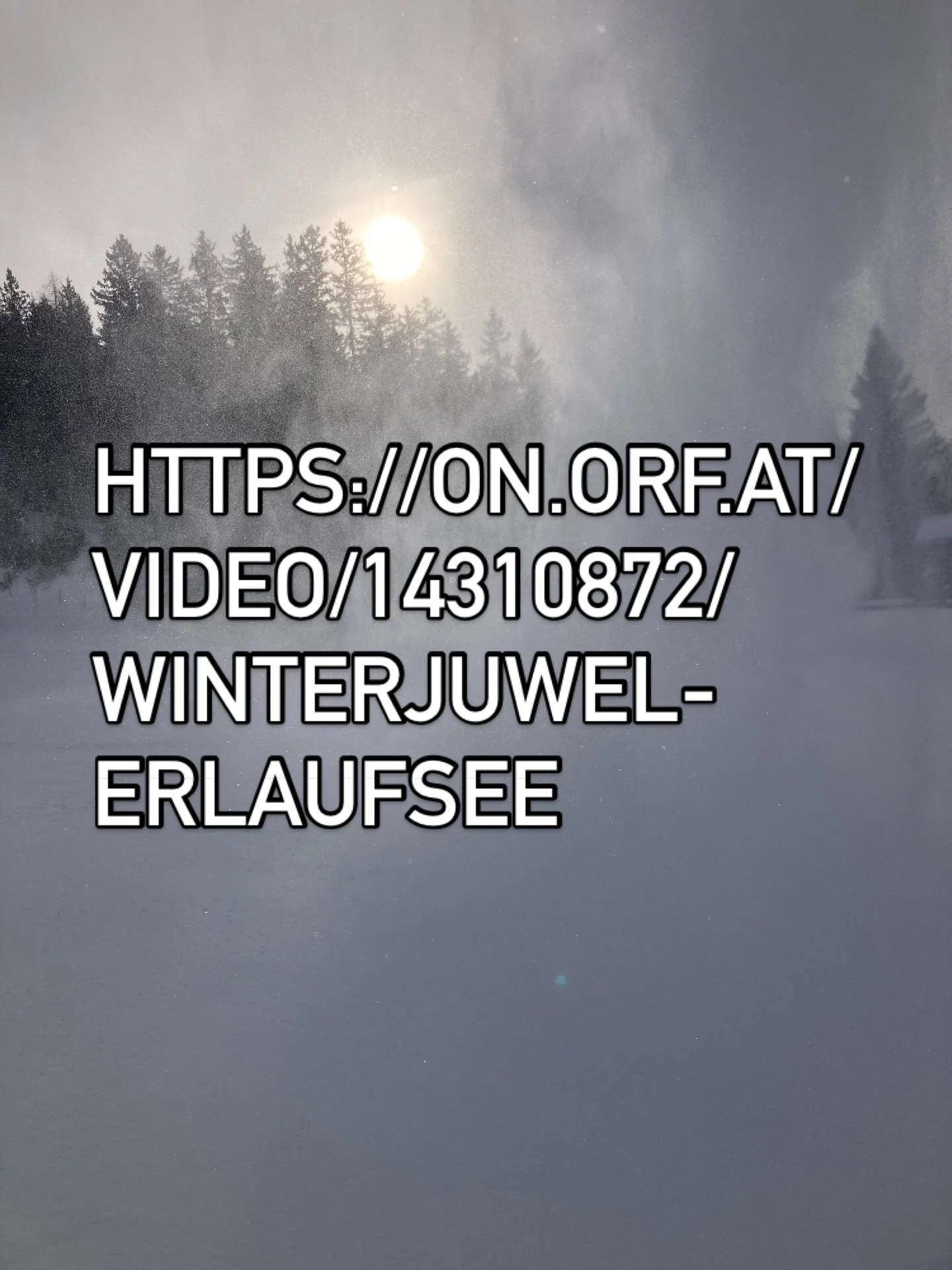 Ganze Sendung online verf&uuml;gbar auf ORF one