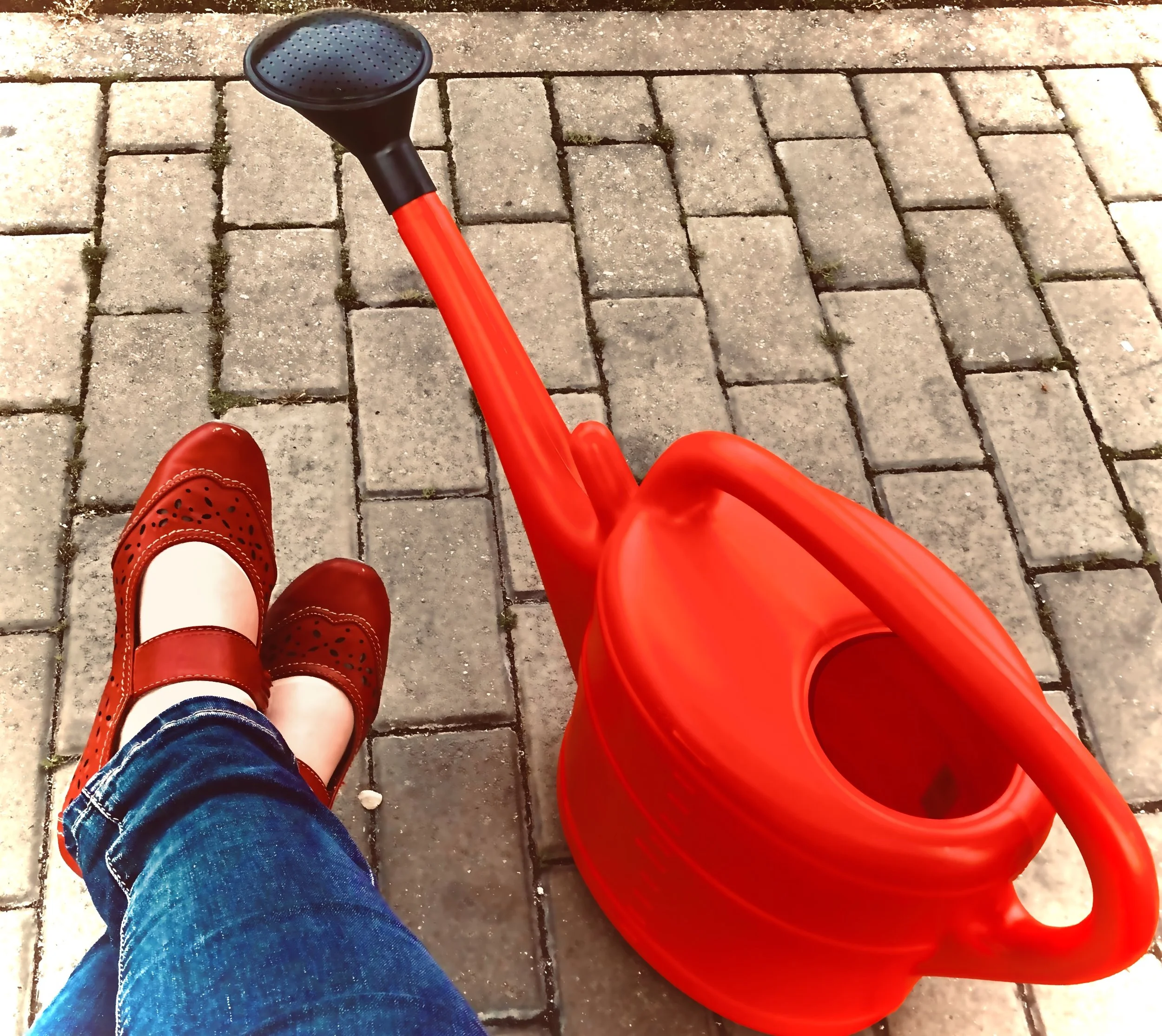 Einzelstücke: digitale Kunst /Fotografie