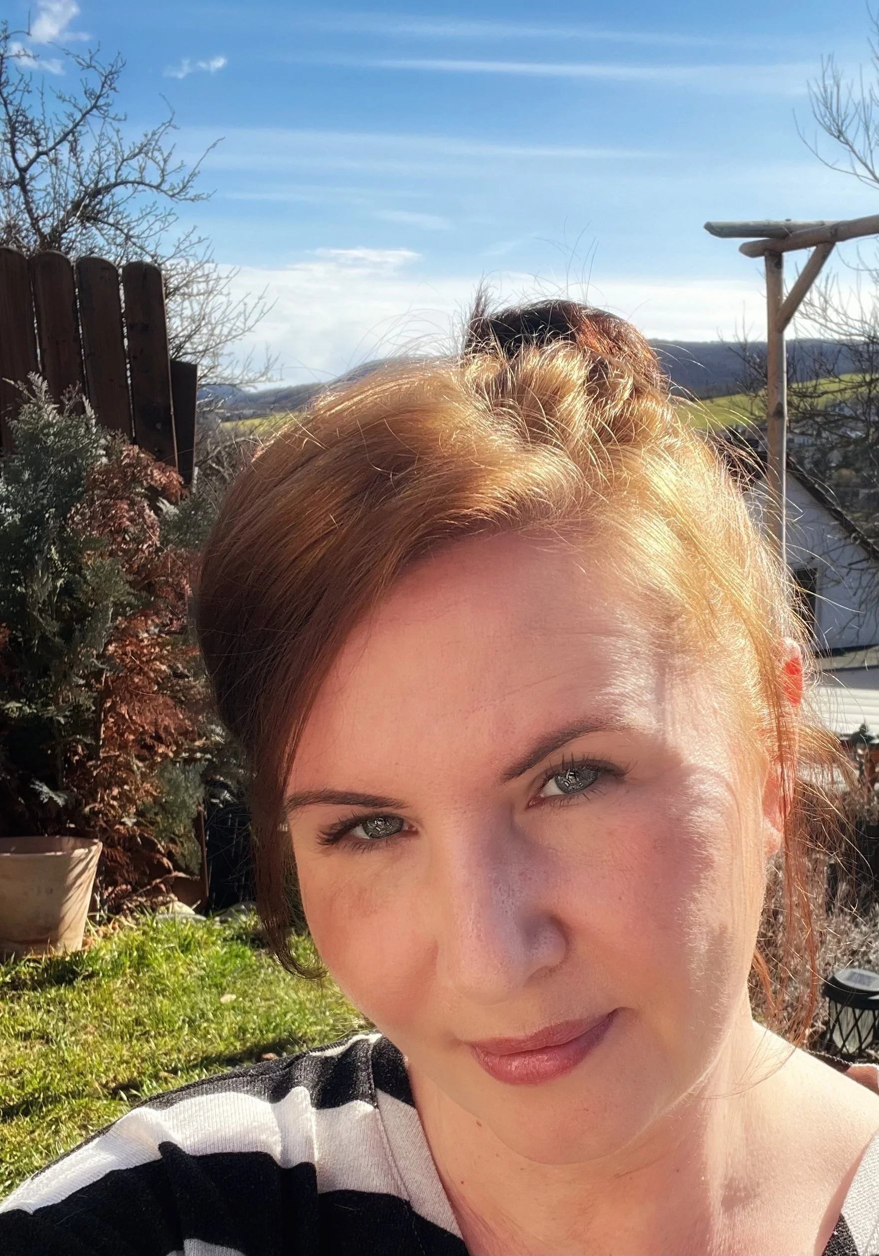 Blogeintrag: Meine Stimme 