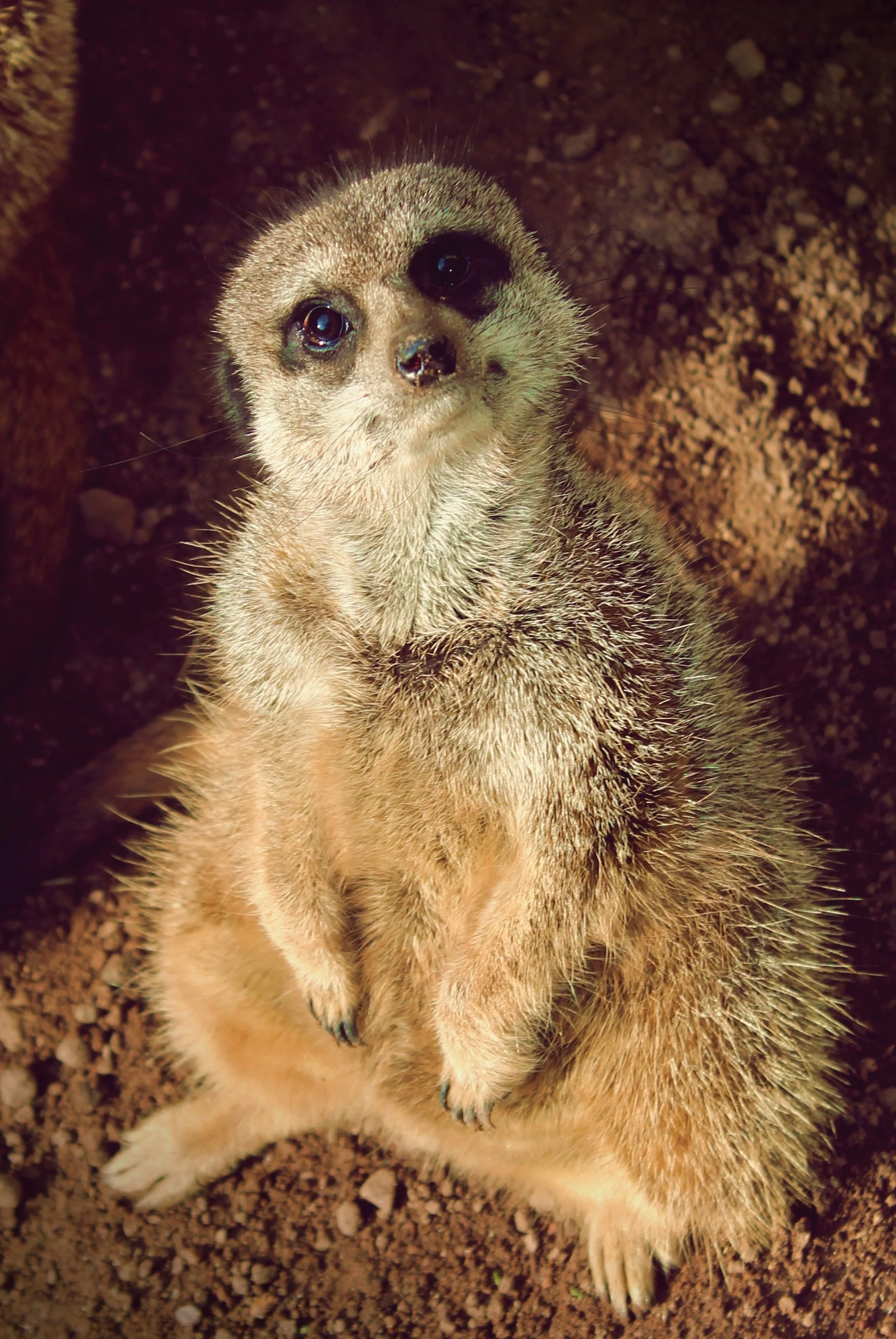 IMG_0689.png