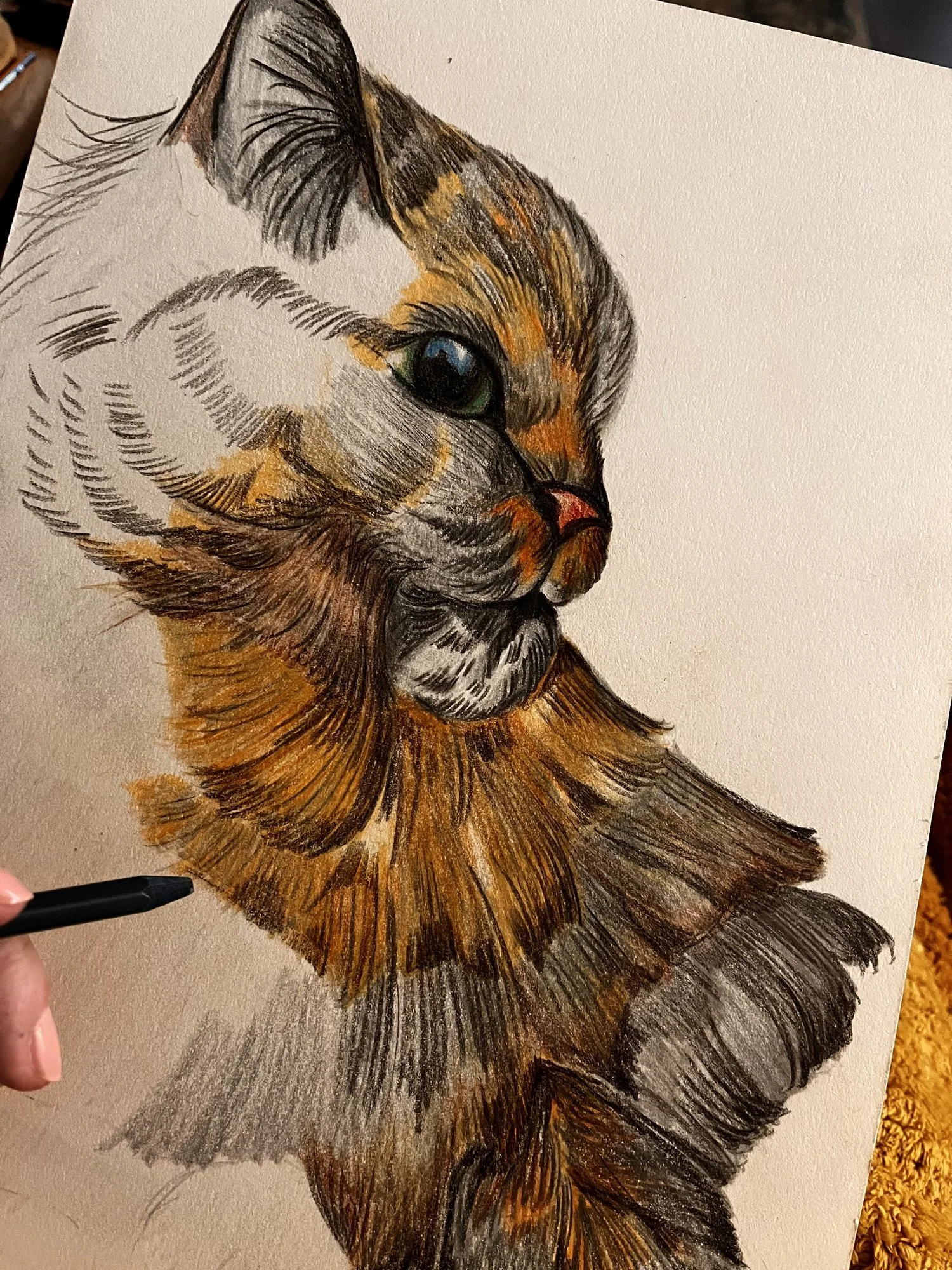 Susas Hand zeichnet mit Buntstift das Fell einer Katze