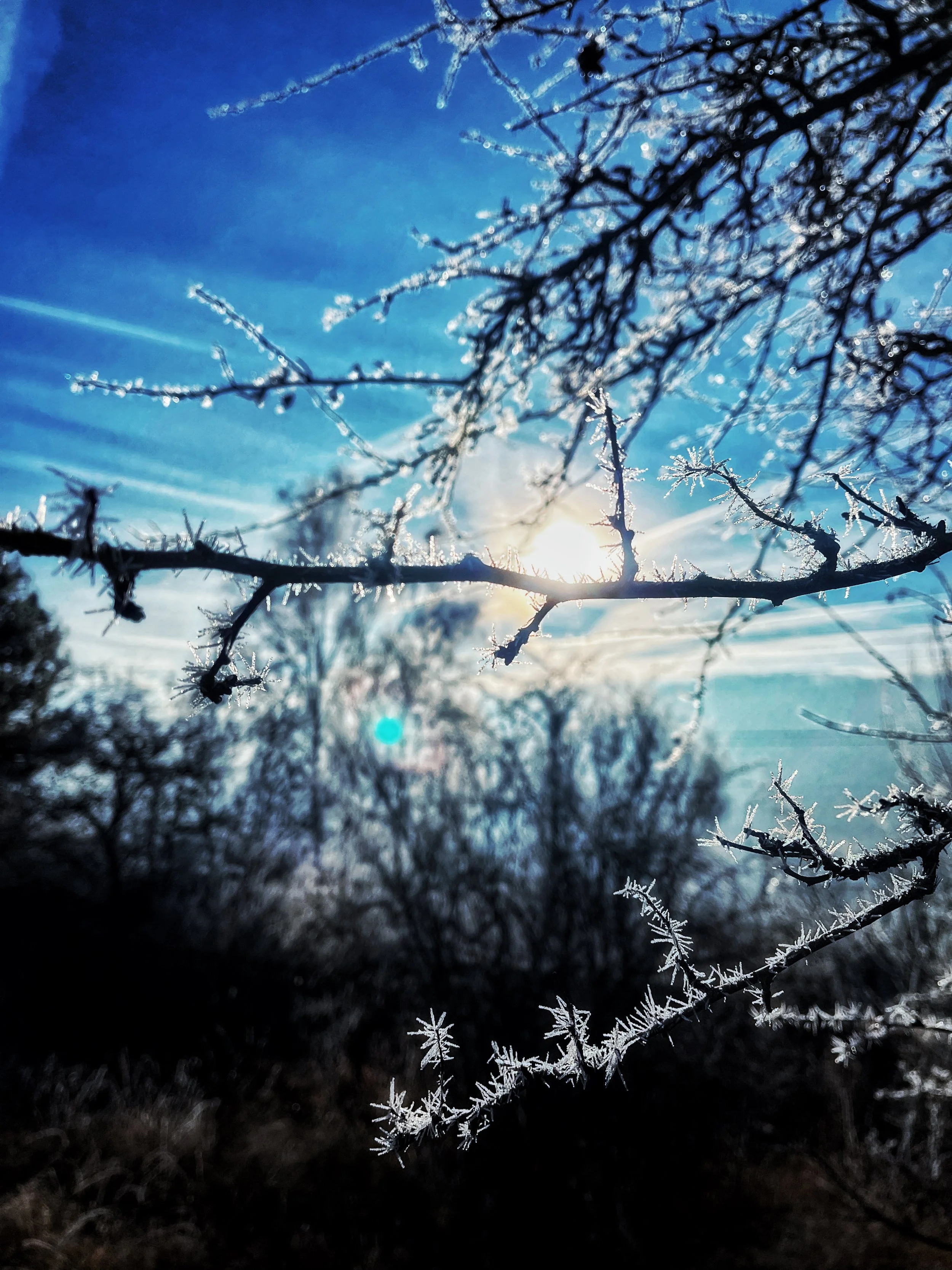 IMG_5398_SnapseedCopy_SnapseedCopy 2.jpg