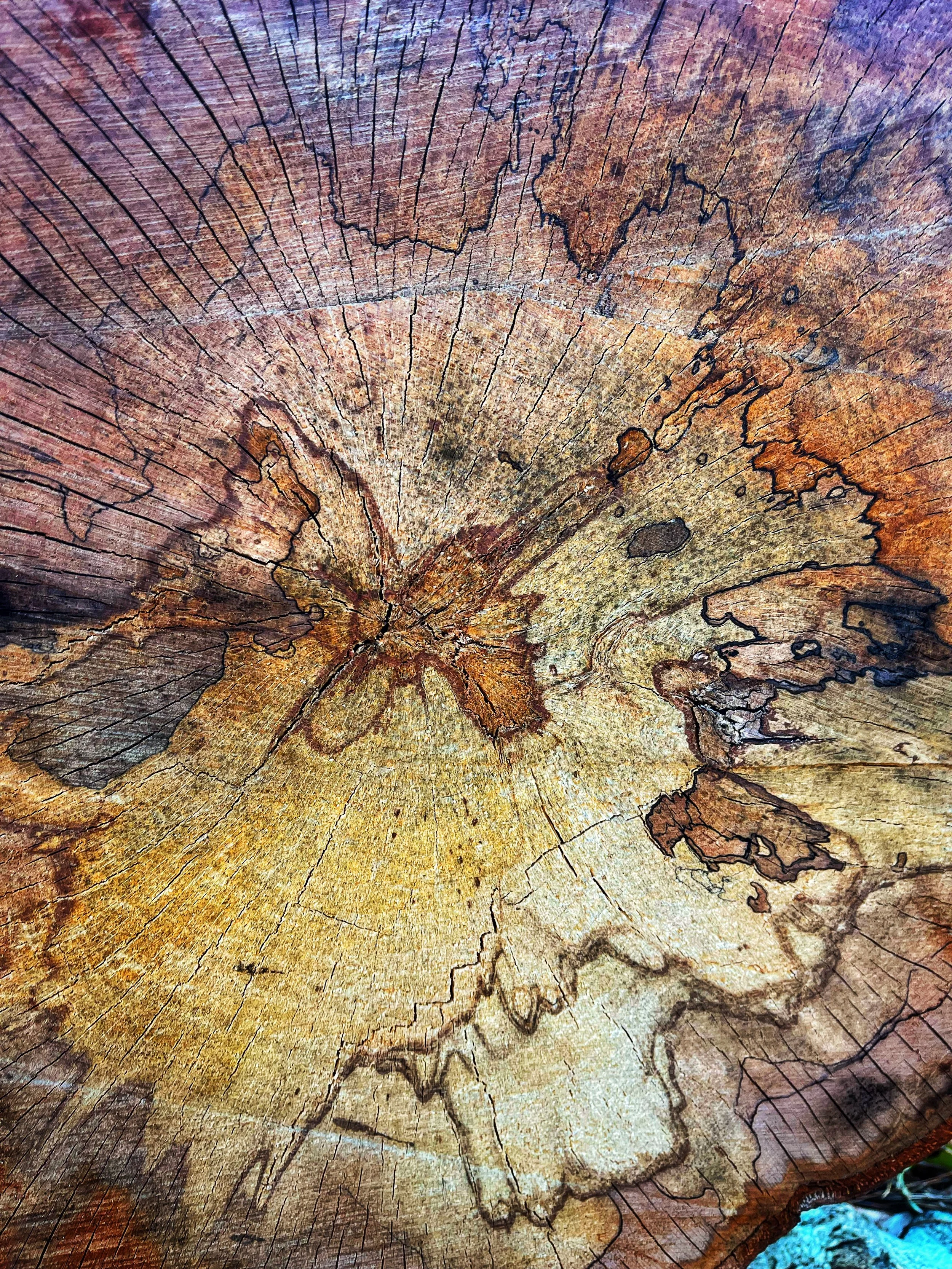 Fotografie: Natur Teil 1