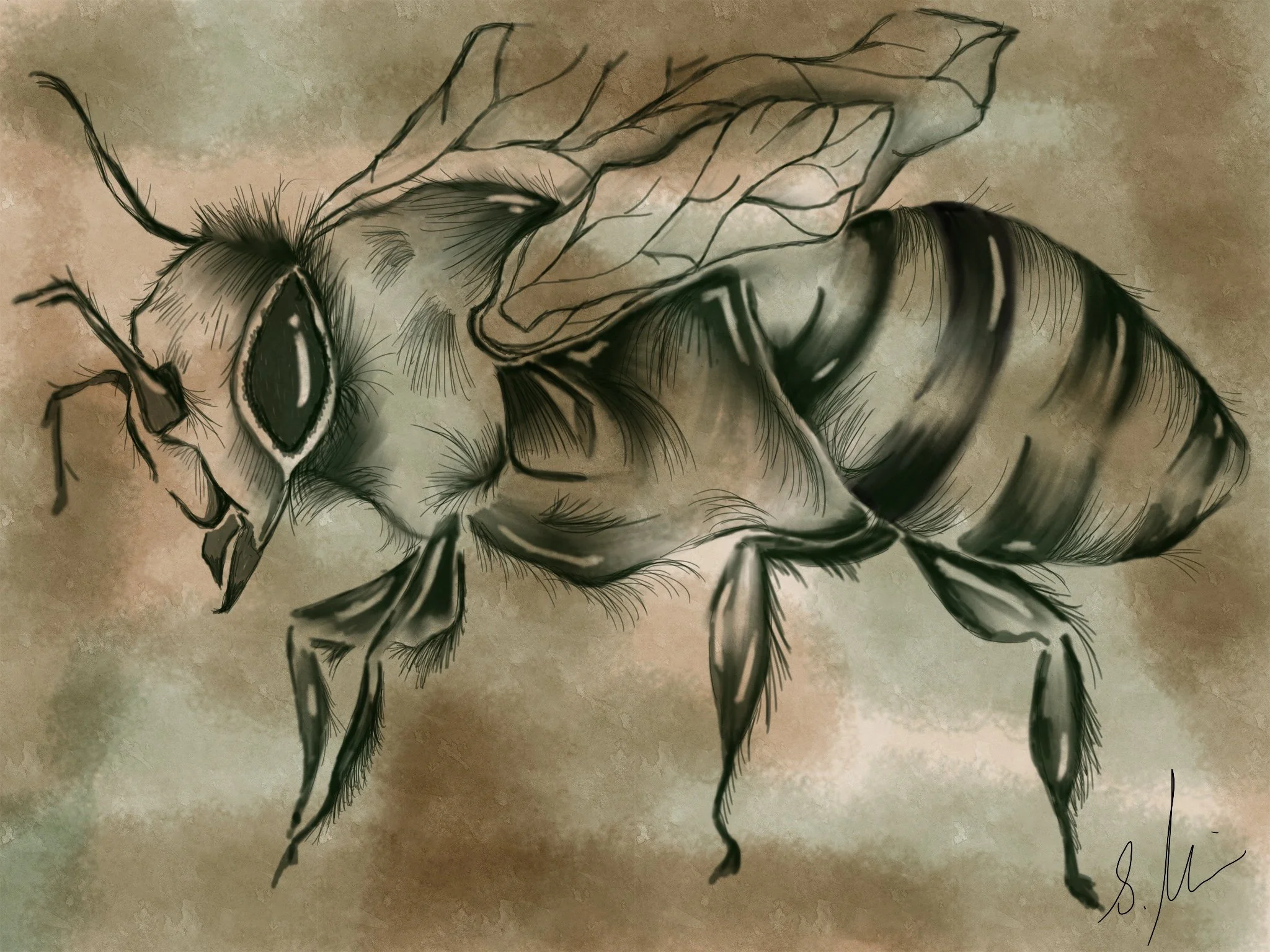 Digitale Kunst: Tierwelt