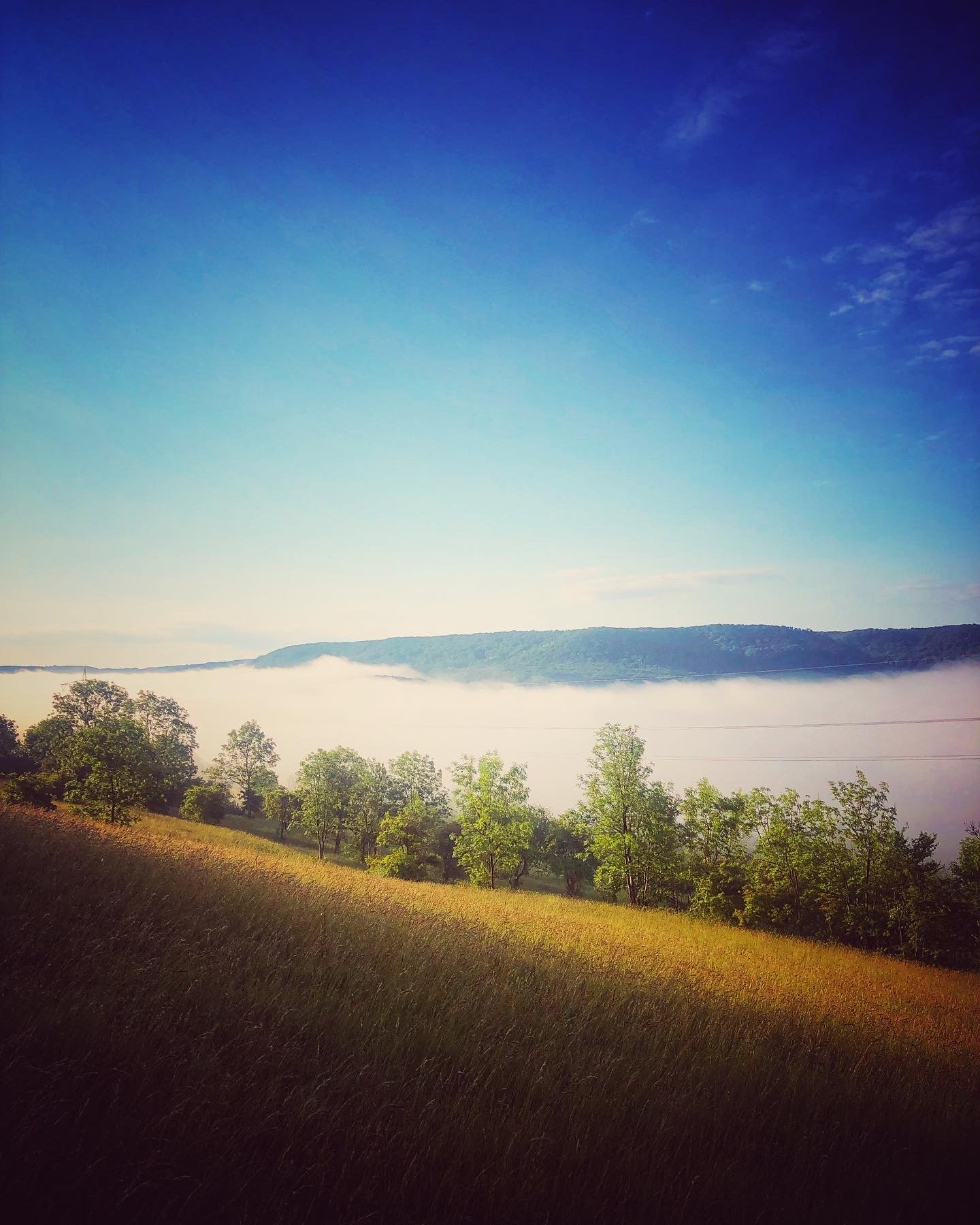 3A74444E-CC62-448D-922B-307A46F0BDBB 2.JPG