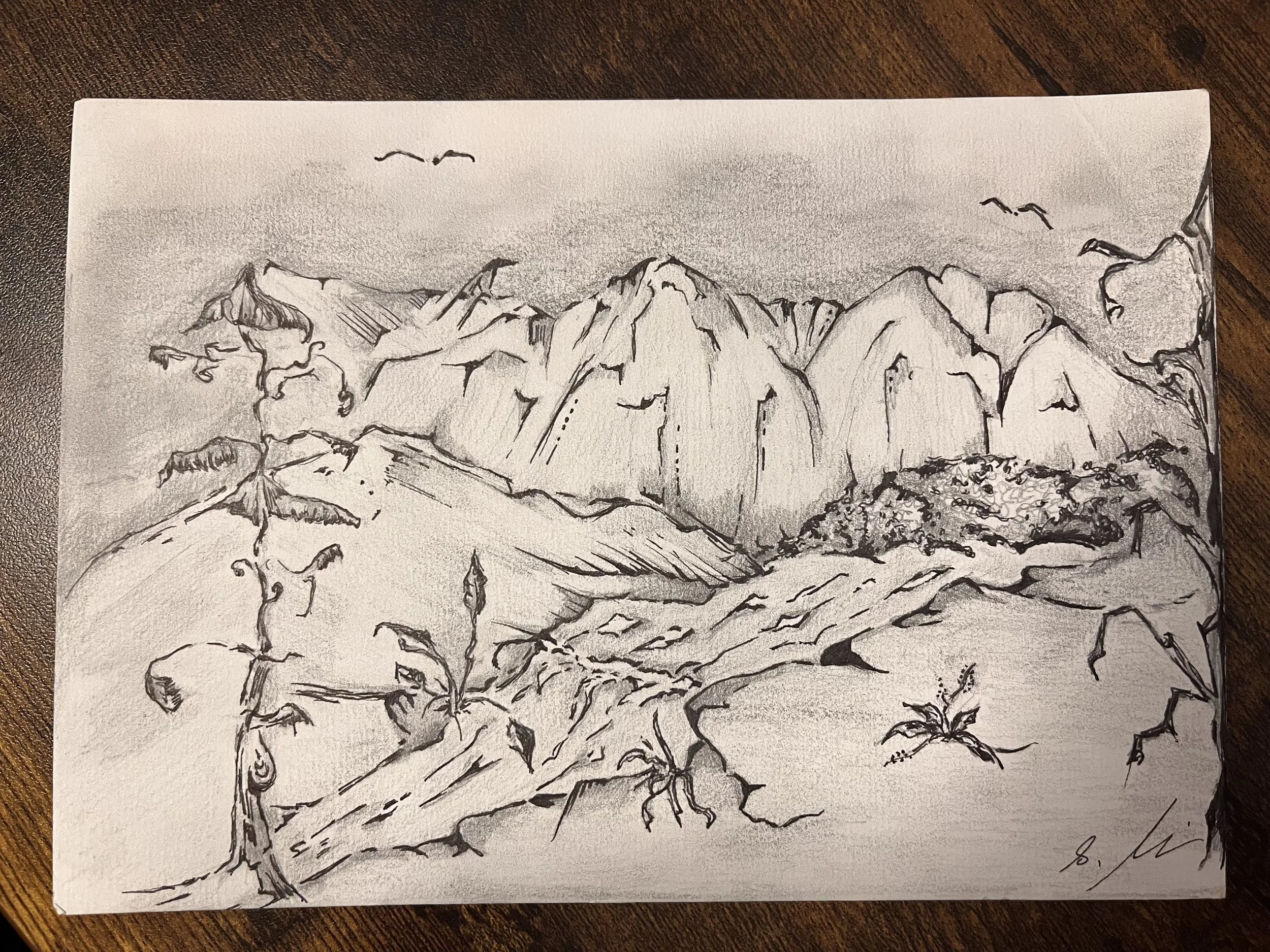 Zeichnungen - Bleistift/ Fineliner/ Buntstift