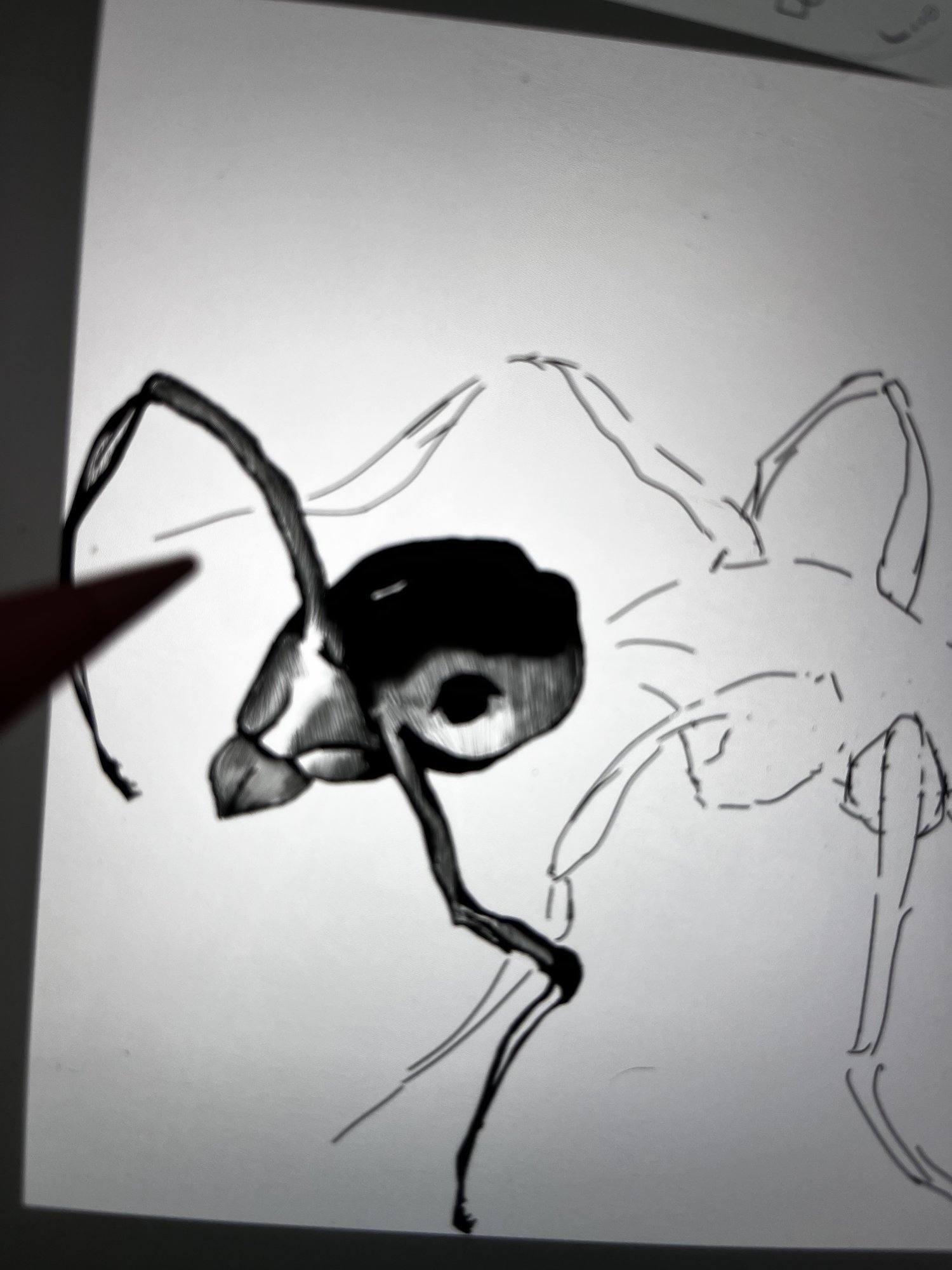 Digitale Zeichnung einer Ameise entsteht mit dem Stift auf dem iPad