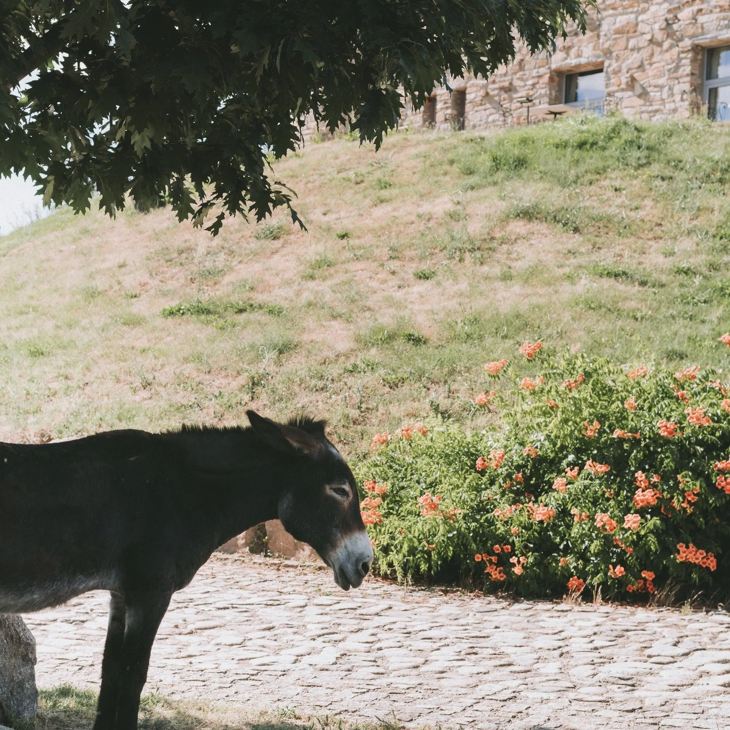 Нека си припомним едно много сладко време за всеки абитуриент. - БАЛА! 
#prom #photograpy #portrait_shot