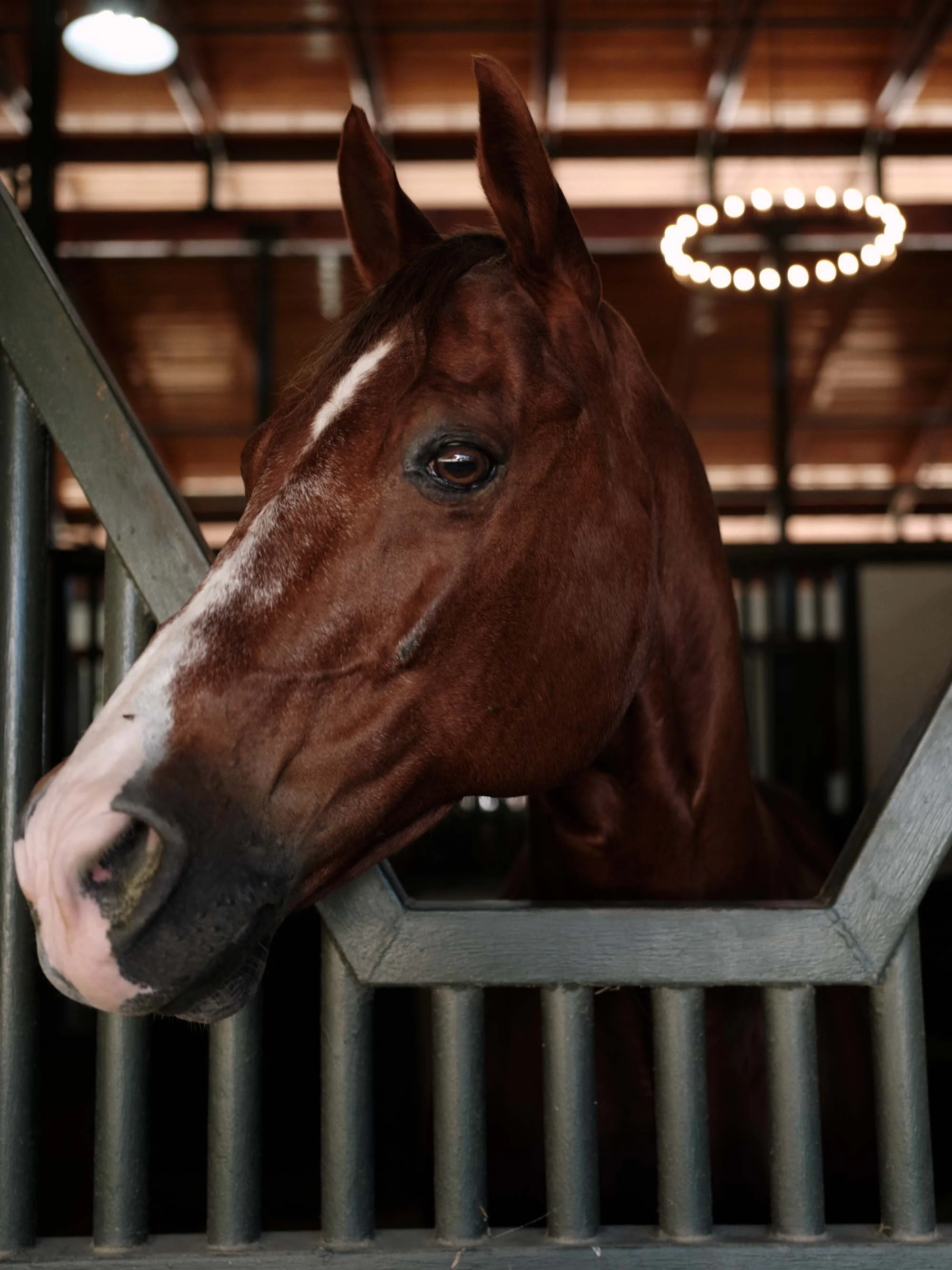 jennifercoleflorals.com | Napa California Wedding Florist Jennifer Cole Florals | Orange County San Diego Events Flower Designers | 5M Ranch Wedding Welcome Party Rehearsal Dinner  1 (3).jpg