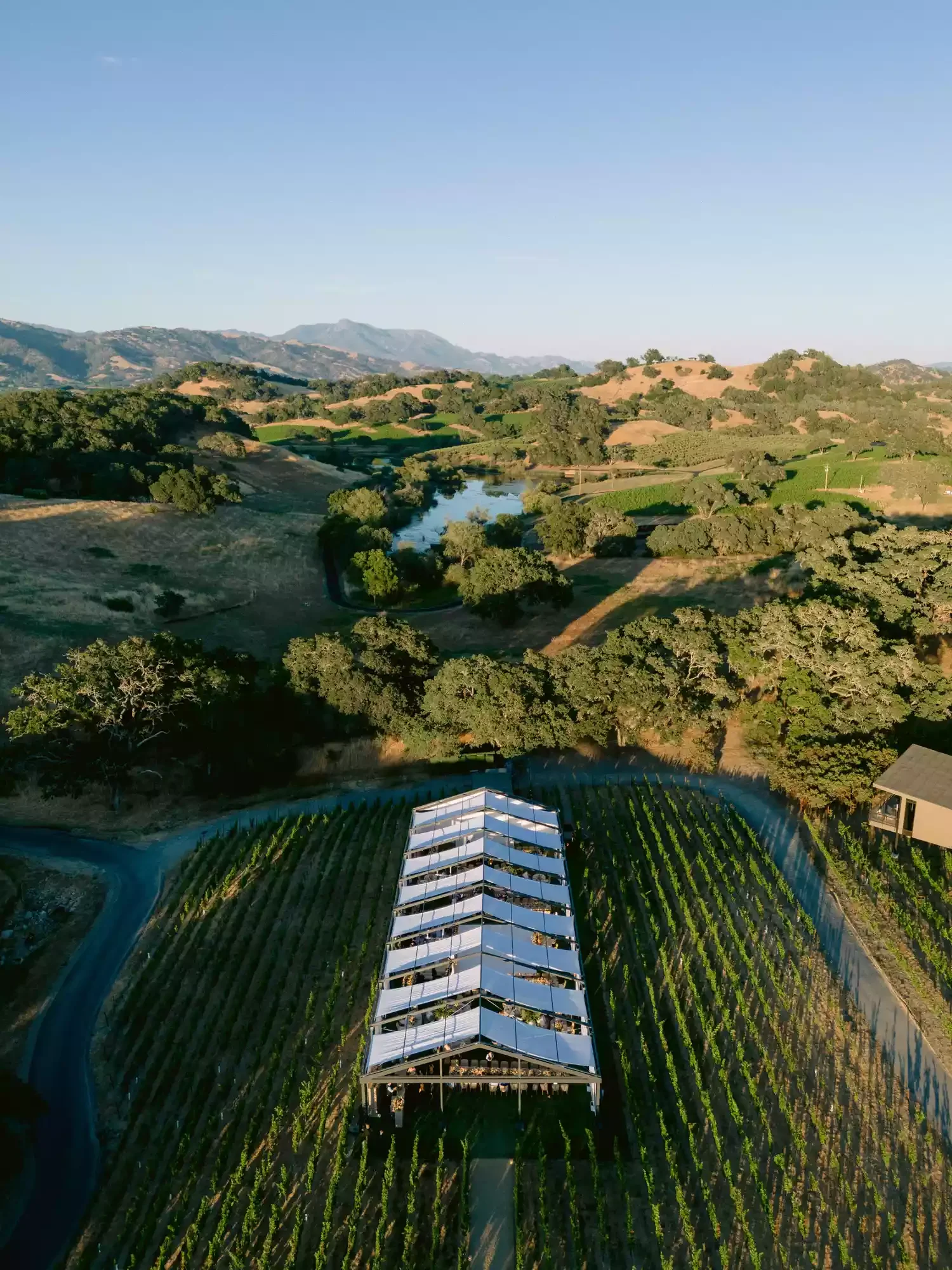 Eagle Football Star Jordan Mailata Wedding - Jennifer Cole Florals Florist Designer Healdsburg California 2 (1).webp