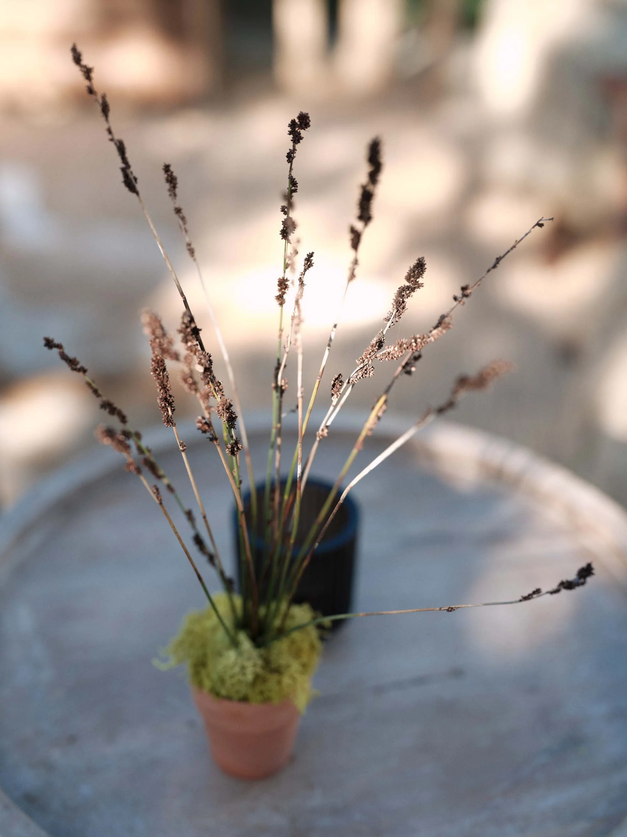 jennifercoleflorals.com | Napa California Wedding Florist Jennifer Cole Florals | Orange County San Diego Events Flower Designers | 5M Ranch Wedding Welcome Party Rehearsal Dinner  5 (3).jpg