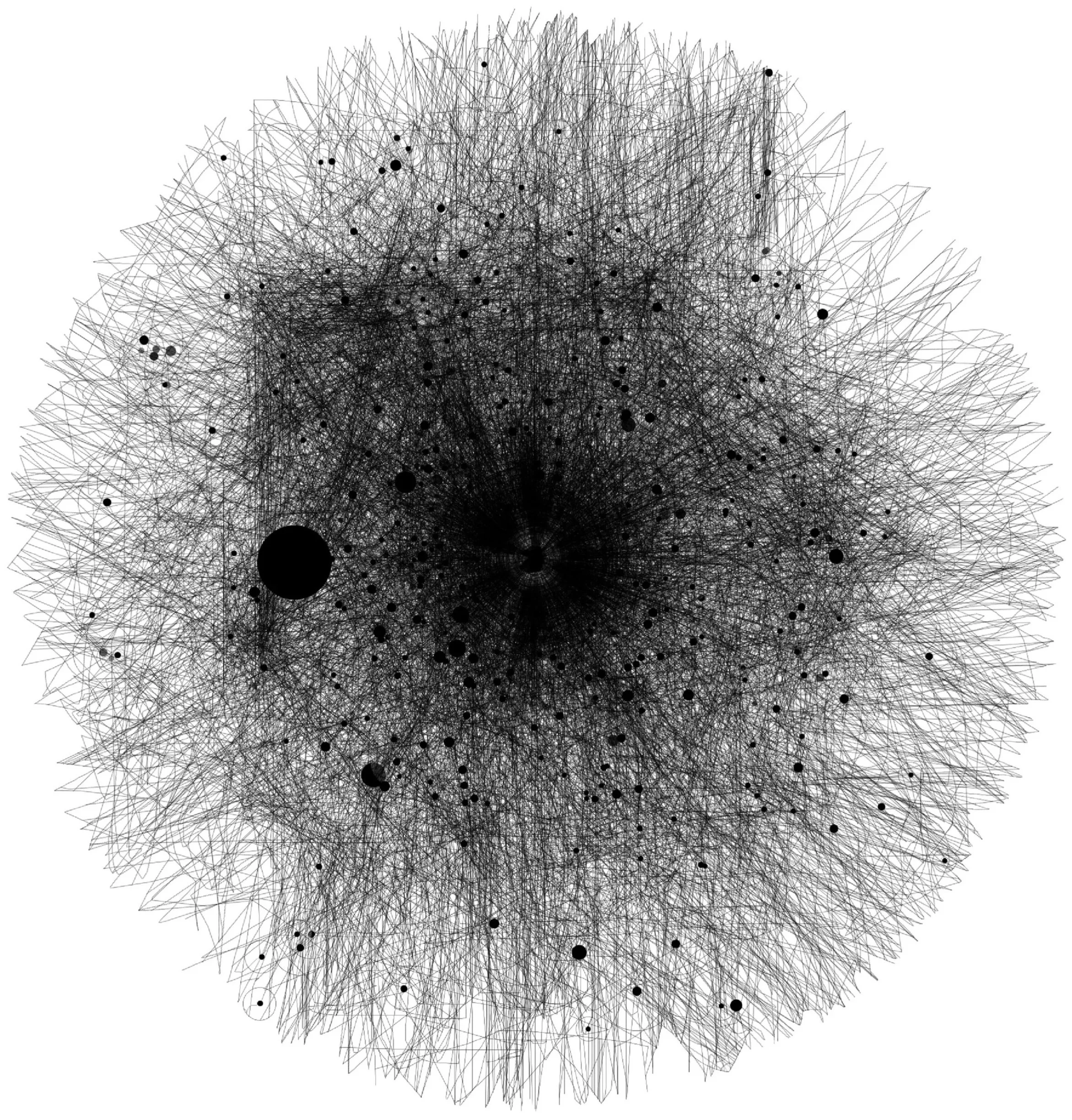 A complex black and white network diagram with numerous interconnected lines and nodes, some nodes represented as larger black circles.