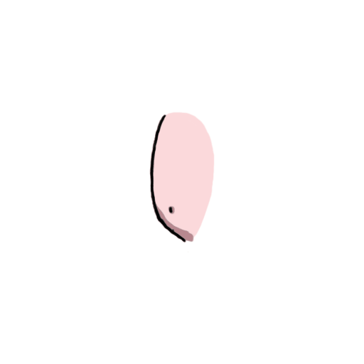 Close-up of a pink and black object on a white background, with a small dark spot.