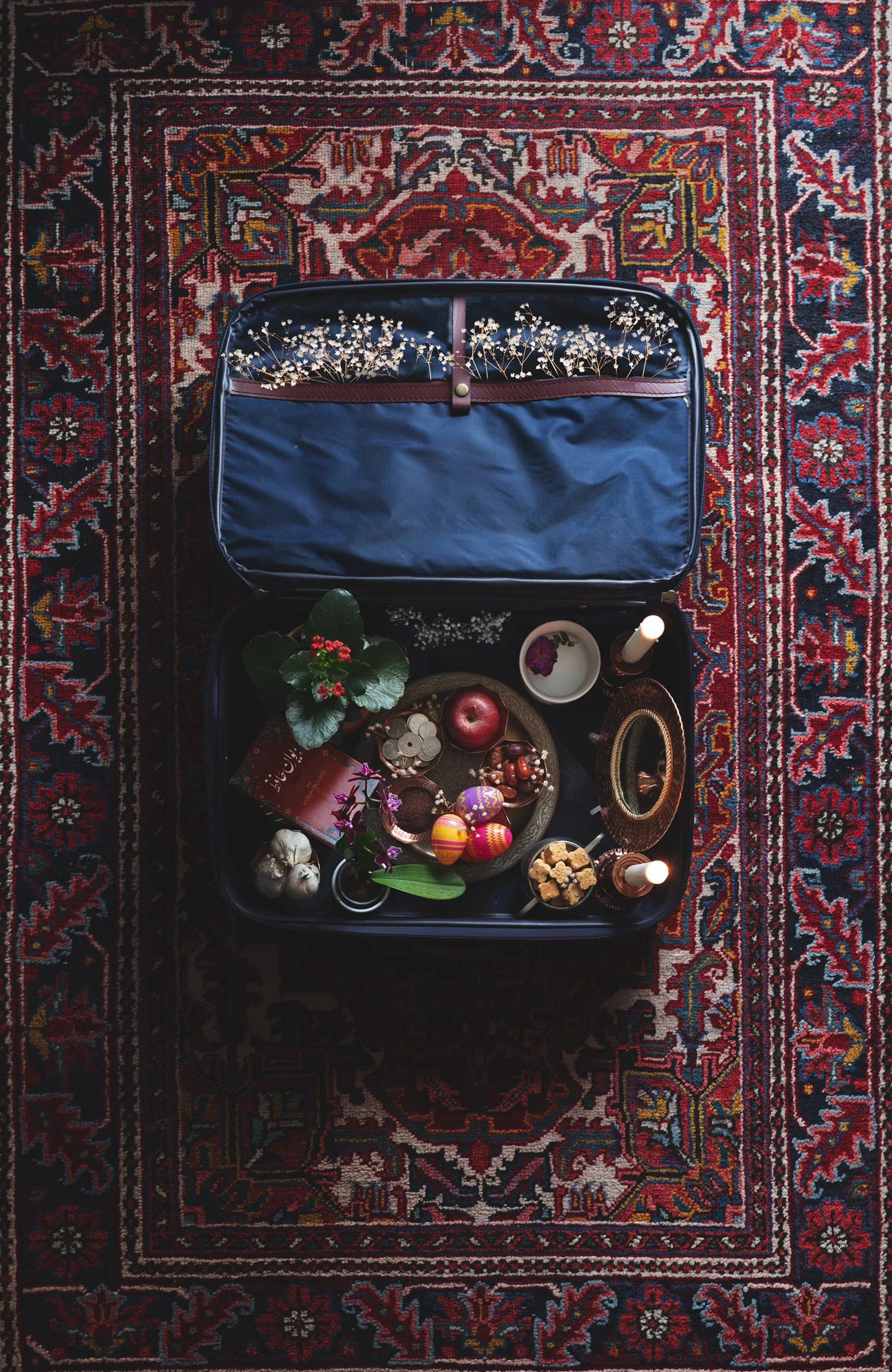 Mahsa Attaran, "Ja Oftadan (Settle In)"