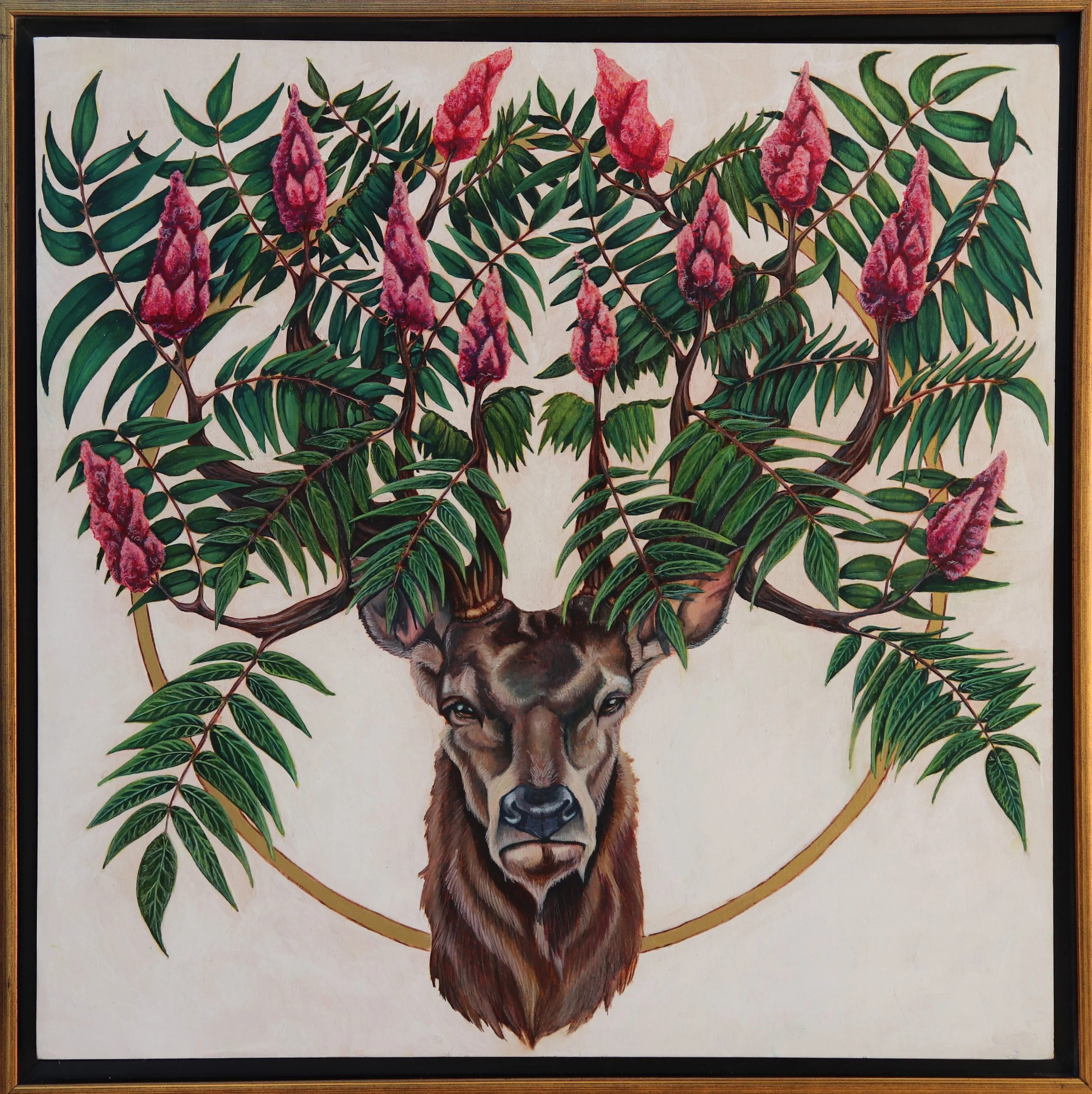Sarah Belanger, "Staghorn Sumac"