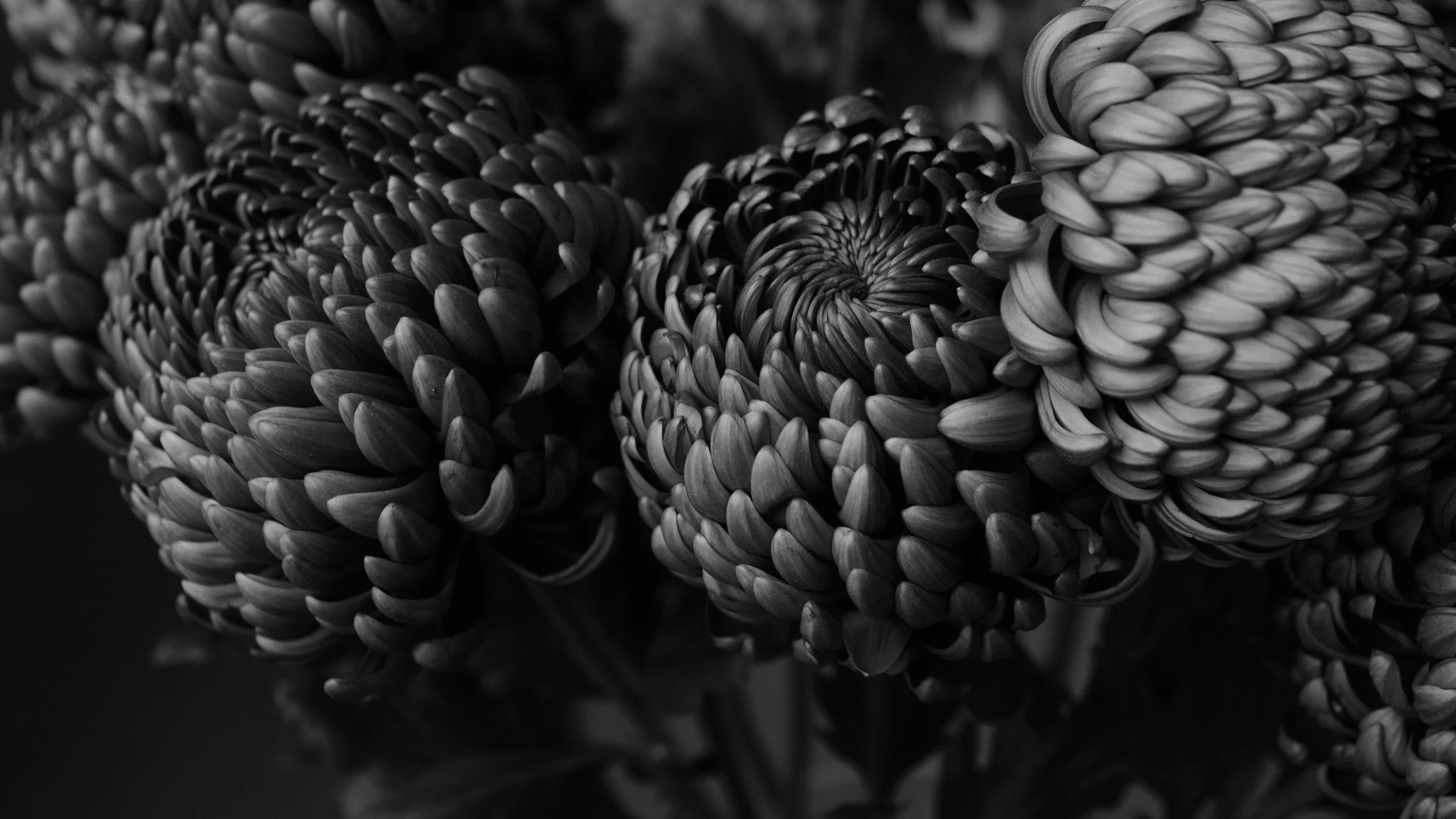 Flowers in patterns symbolising untangling complex patters in business