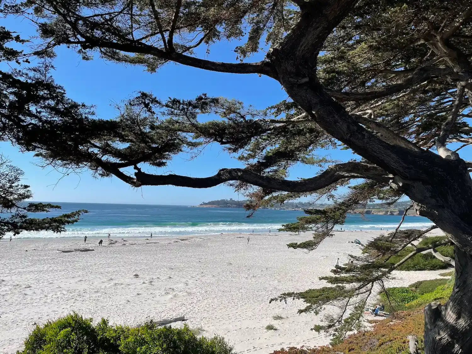 Frequently asked questions section - need help with your business issue, curious about human design or how does your nervous system affect your operations. All questions answered here