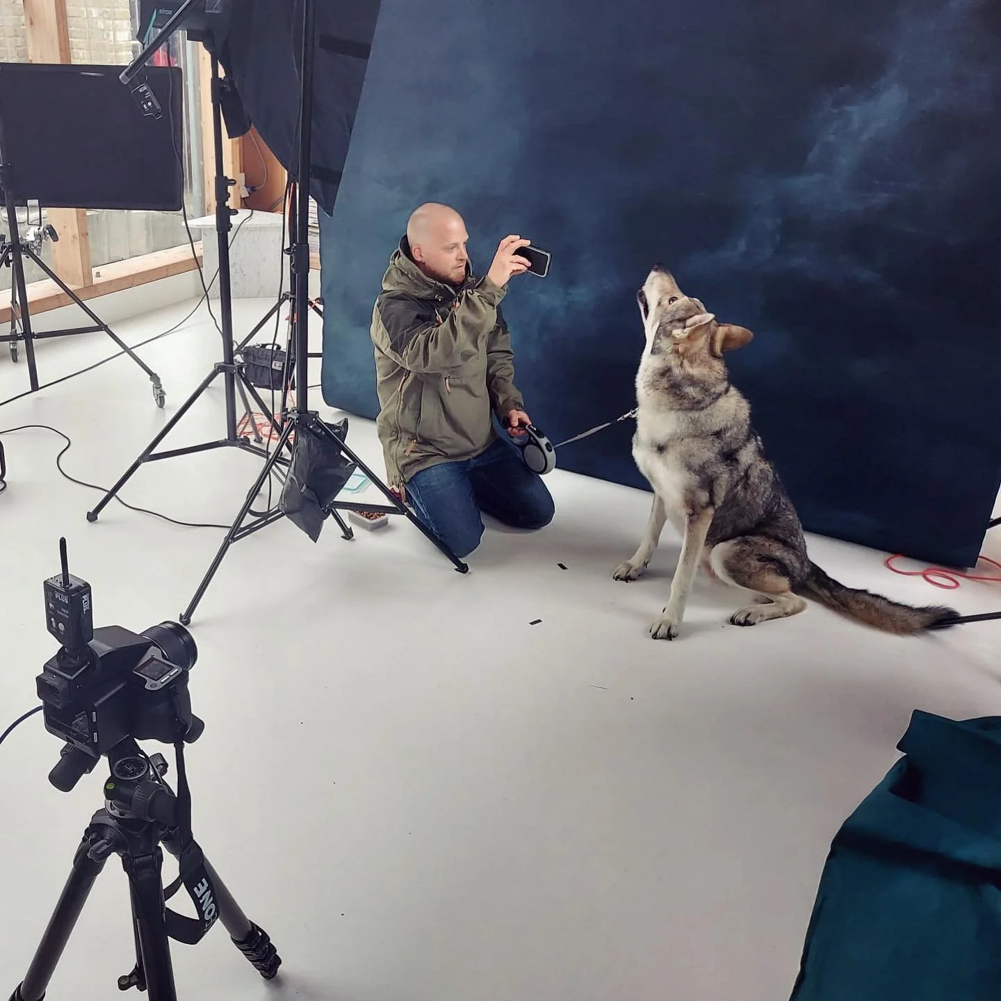 Un homme prend une photo d'un chien husky dans un studio photo. L'homme est assis au sol, portant une veste beige et jean, le chien est assis et regarde vers le haut. Il y a des appareils photo et des équipements de studio autour.
