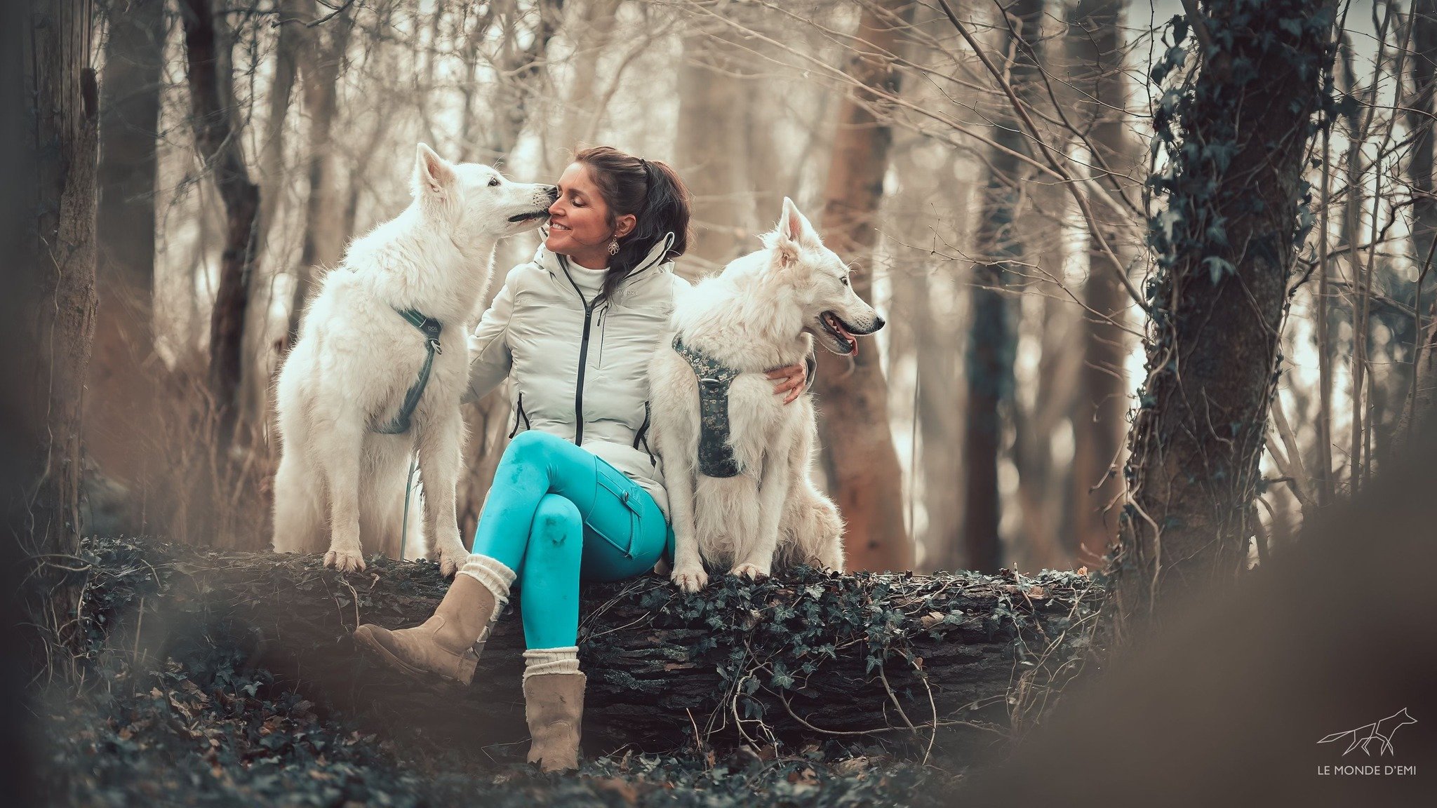 Une femme assise sur un tronc d'arbre dans une forêt, entourée de deux chiens huskies blancs, en train de recevoir des léchouilles et de se faire câliner. La femme sourit dans un moment de tendresse, avec des arbres dénudés en arrière-plan.