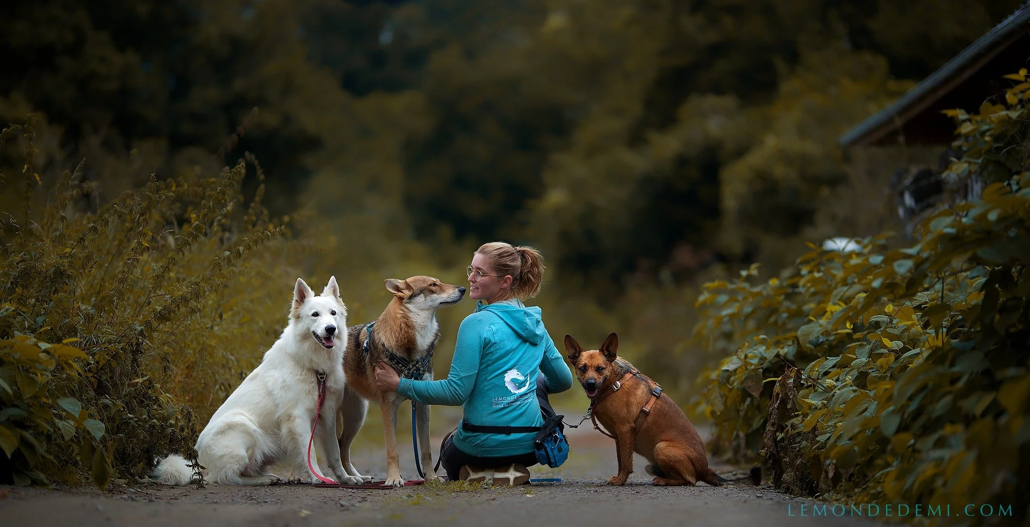 Une femme avec quatre chiens en pleine nature, elle est assise sur une pierre, entourée de buissons verts, un fond de forêt et un toit de maison visible à droite.