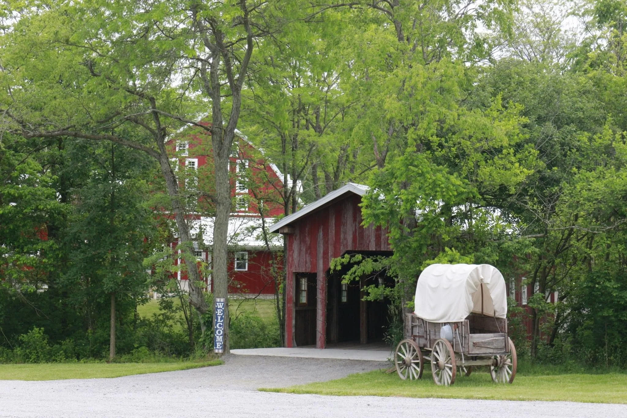 A vintage wooden wagon with large wheels and white canopy is parked near a red barn with a white roof, surrounded by green trees and shrubs.