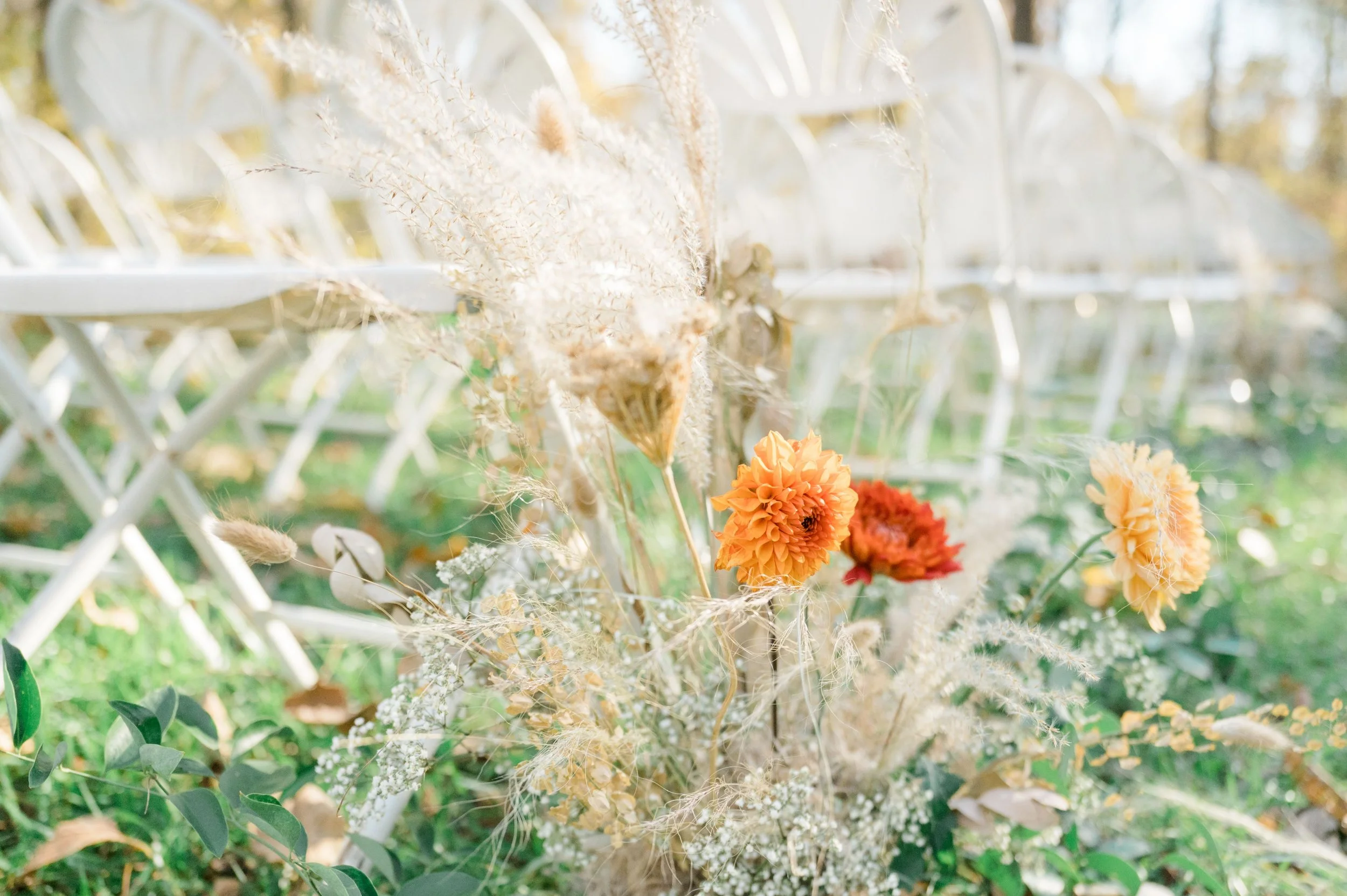 Aisles of white chairs are lined with dried flowers and grasses in the green foliage of the meadow.