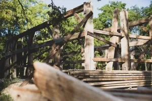 Close-up of a weathered wooden railroad trestle bridge with trees and blue sky in the background.