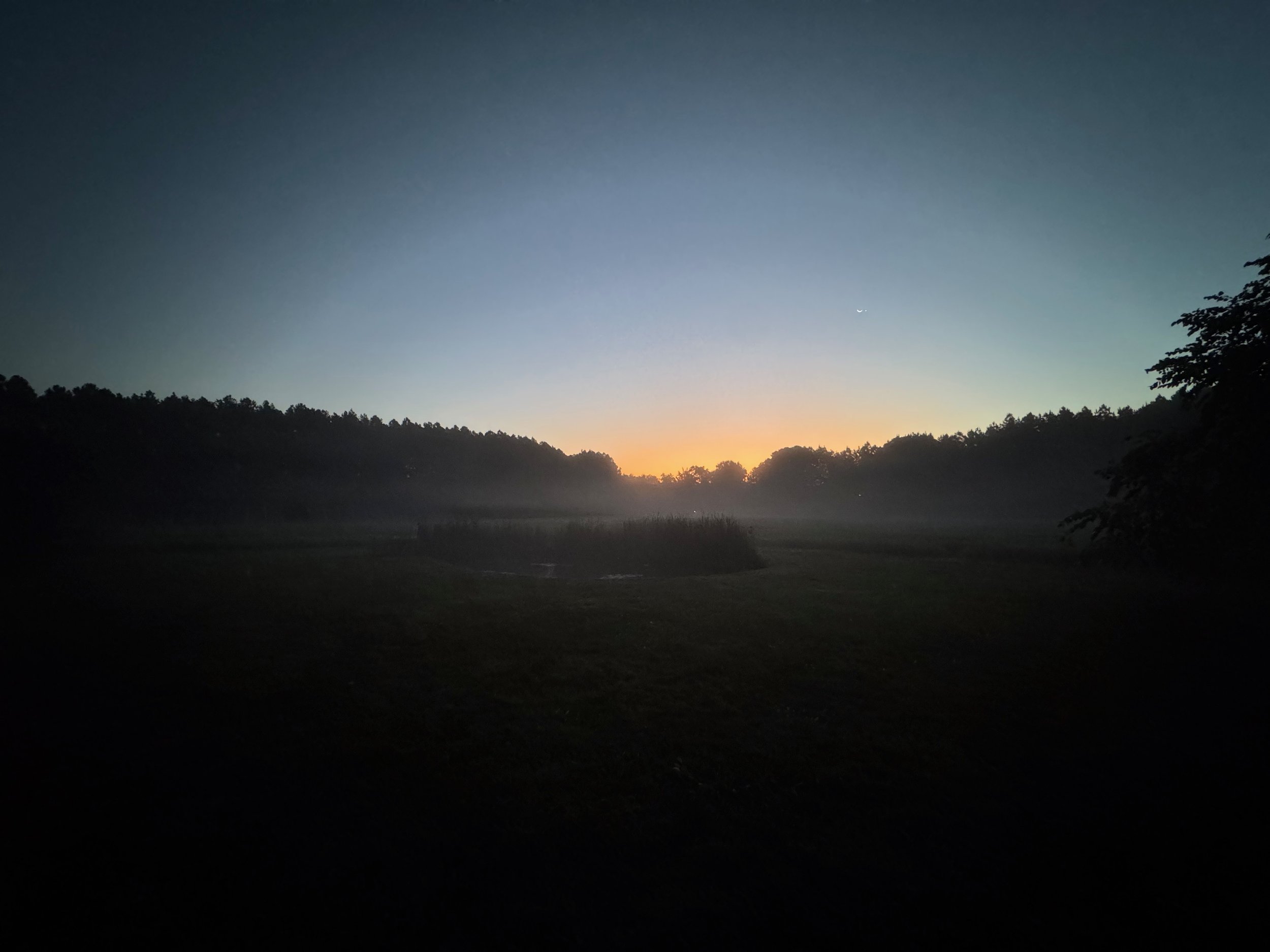 Sunrise over Sagefields