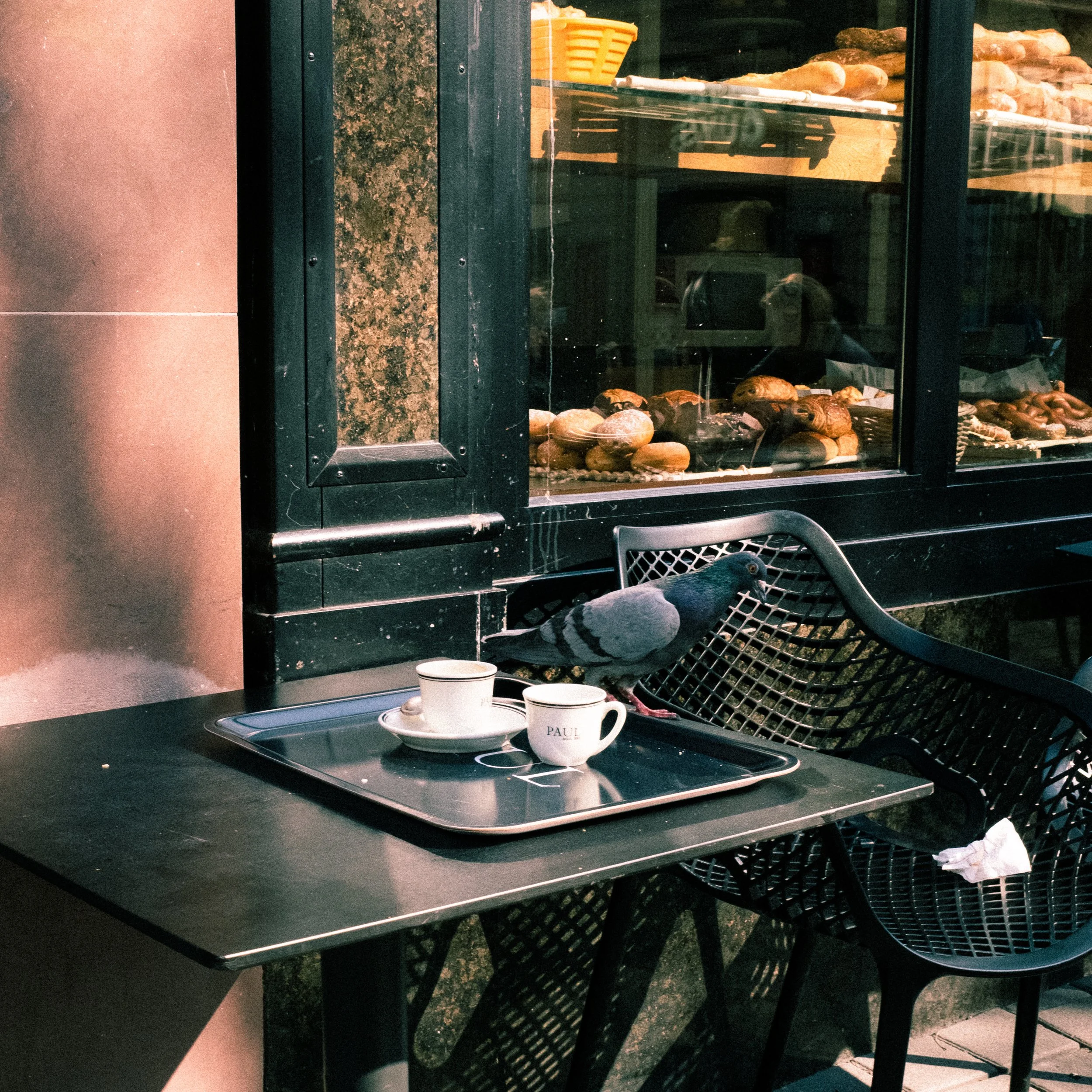Un pigeon perché sur une table avec deux tasses à café en face d'une vitrine de boulangerie.