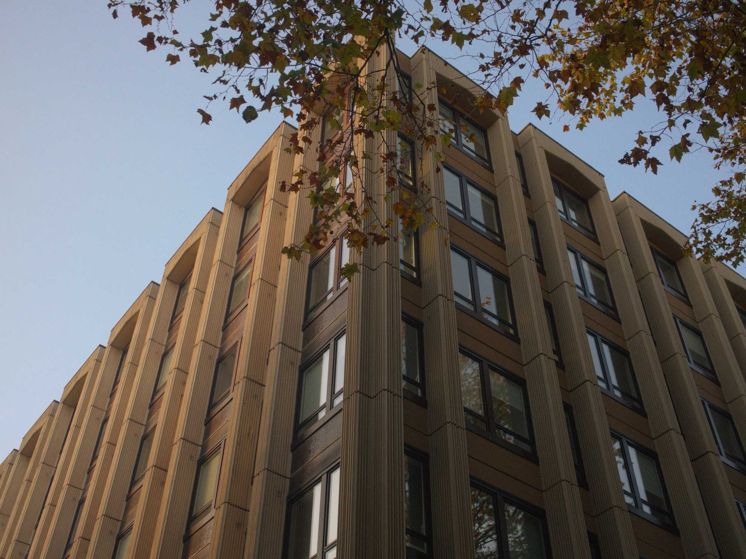 Immeuble moderne avec plusieurs fenêtres et un arbre avec des feuilles vertes et brunes au premier plan