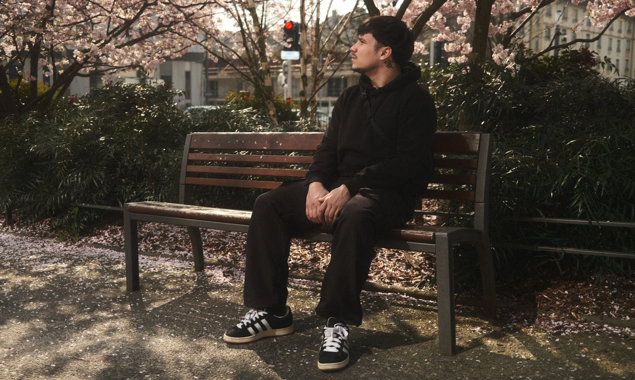 Un jeune homme assis sur un banc dans un parc au bord d'une allée, avec des cerisiers en fleurs en arrière-plan et des bâtiments en ville, en soirée.