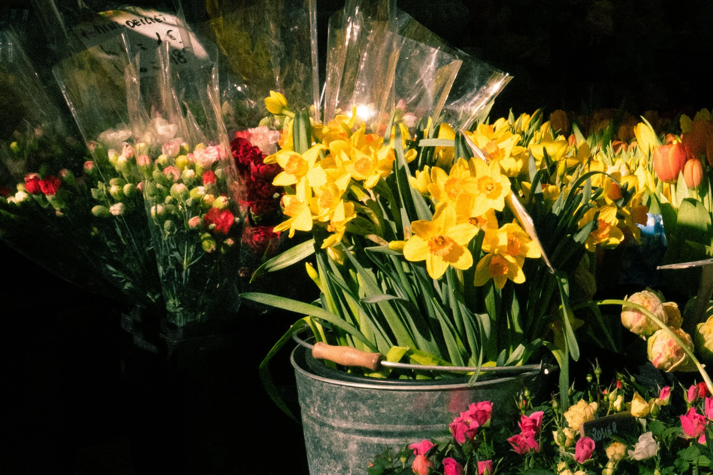 Fleurs jaunes dans un seau en métal, entourées de bouquets de fleurs rouges, roses, et autres couleurs, dans un marché ou une stand de fleurs.