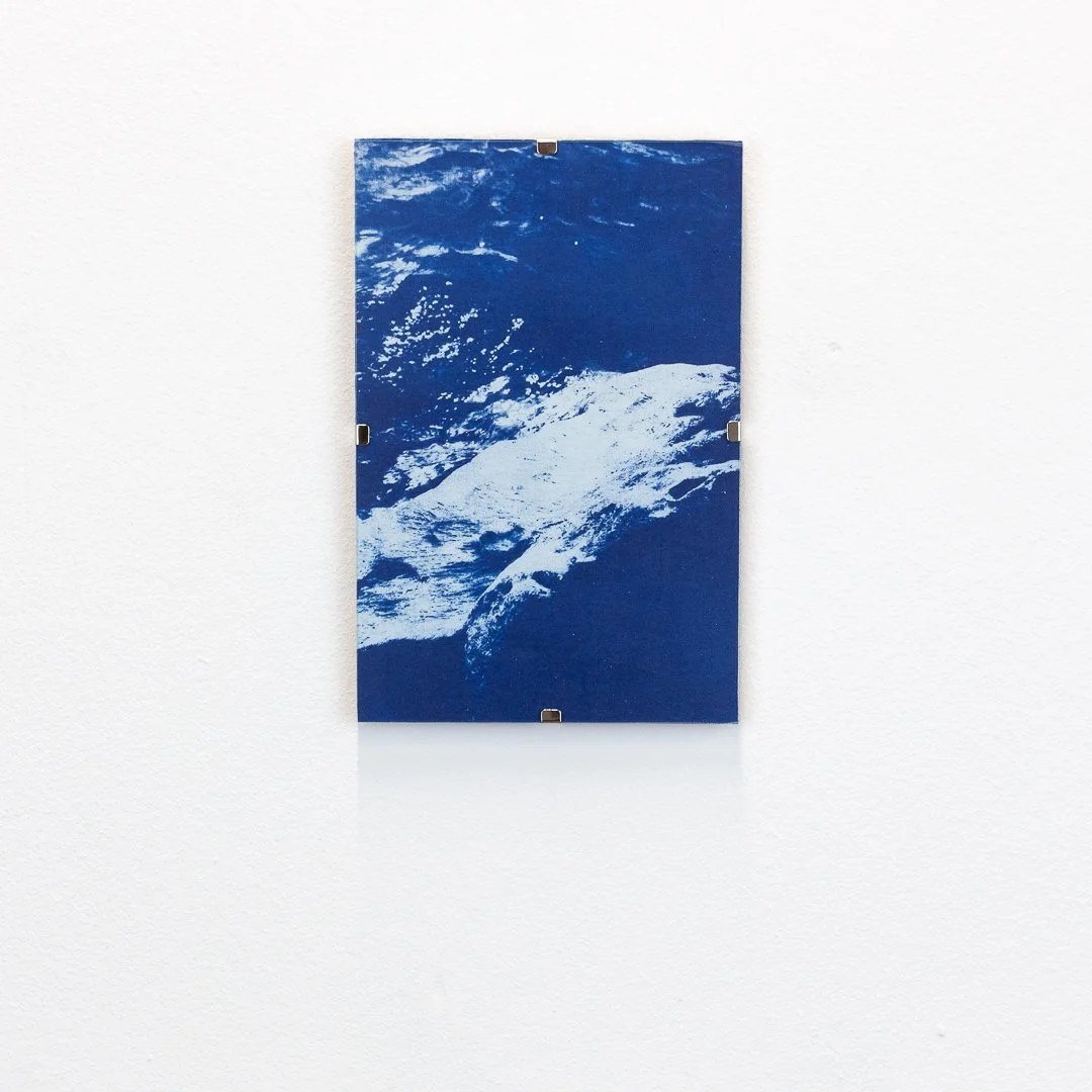 Lac Léman N°03, 2026