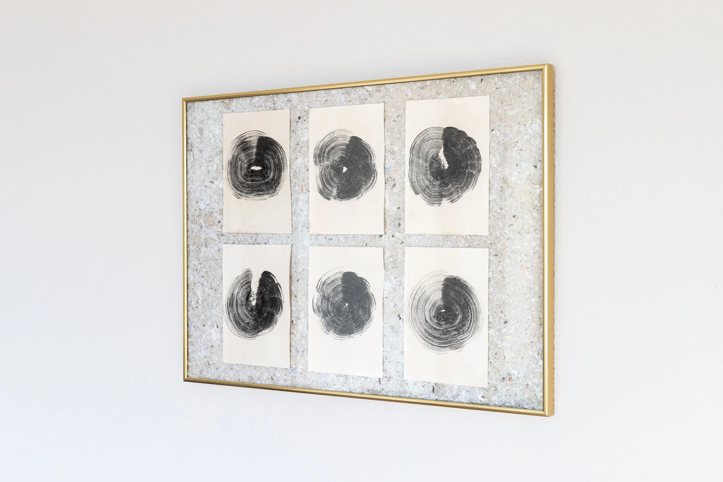 Honneur aux Arbres, 2024