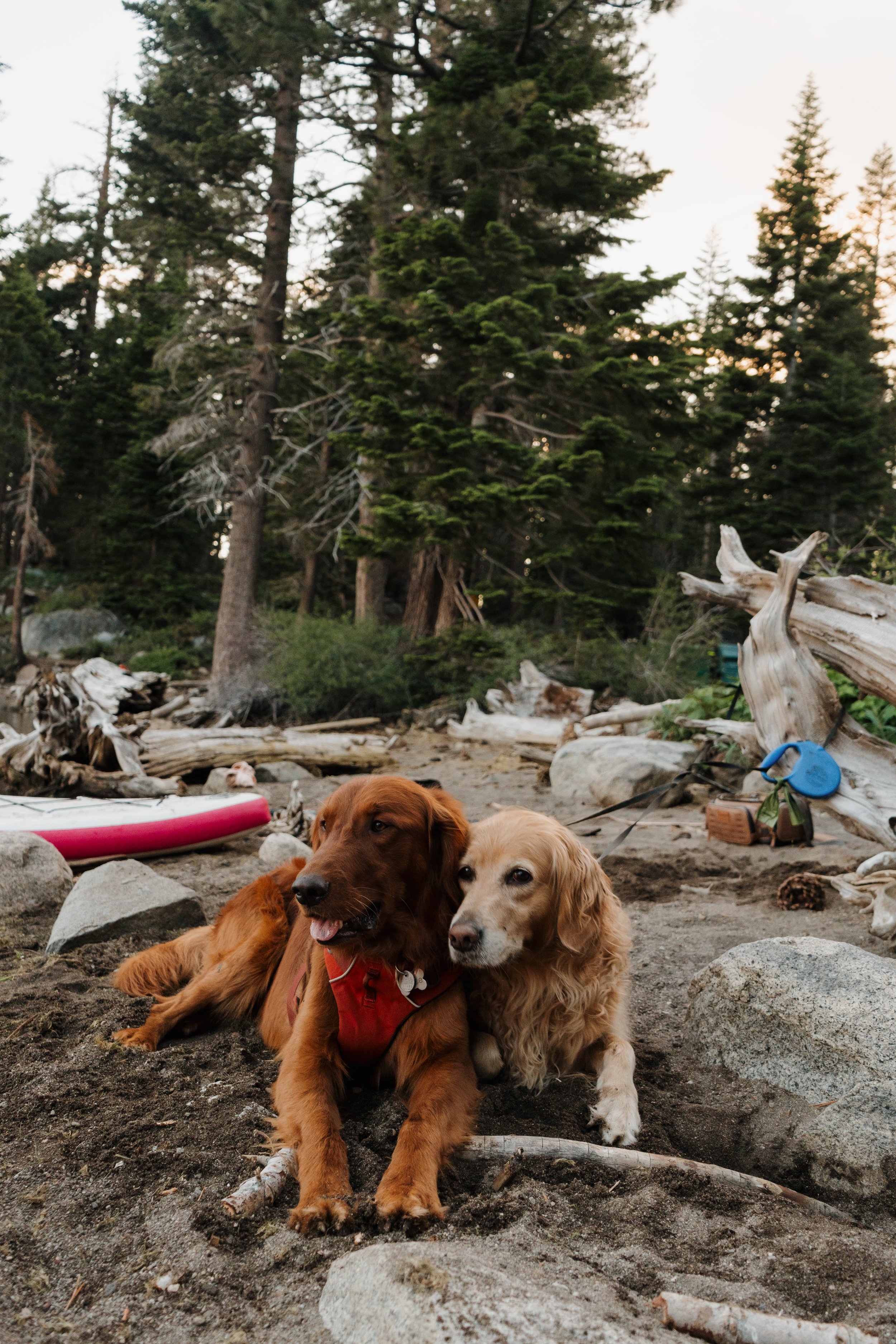 39DFD21B-5044-4509-88D1-B2DFE563D206_L0_001-1_4_2026, 9_21_33 AM.jpeg