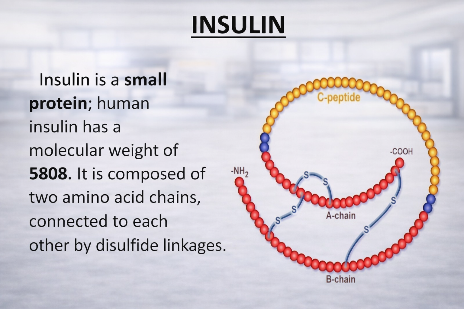 INSULIN - 2025 Research and Advancements