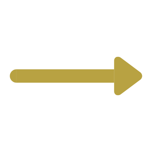 A gold right-pointing arrow on a light gray background, symbolizing the arrow to food intolerance support process.