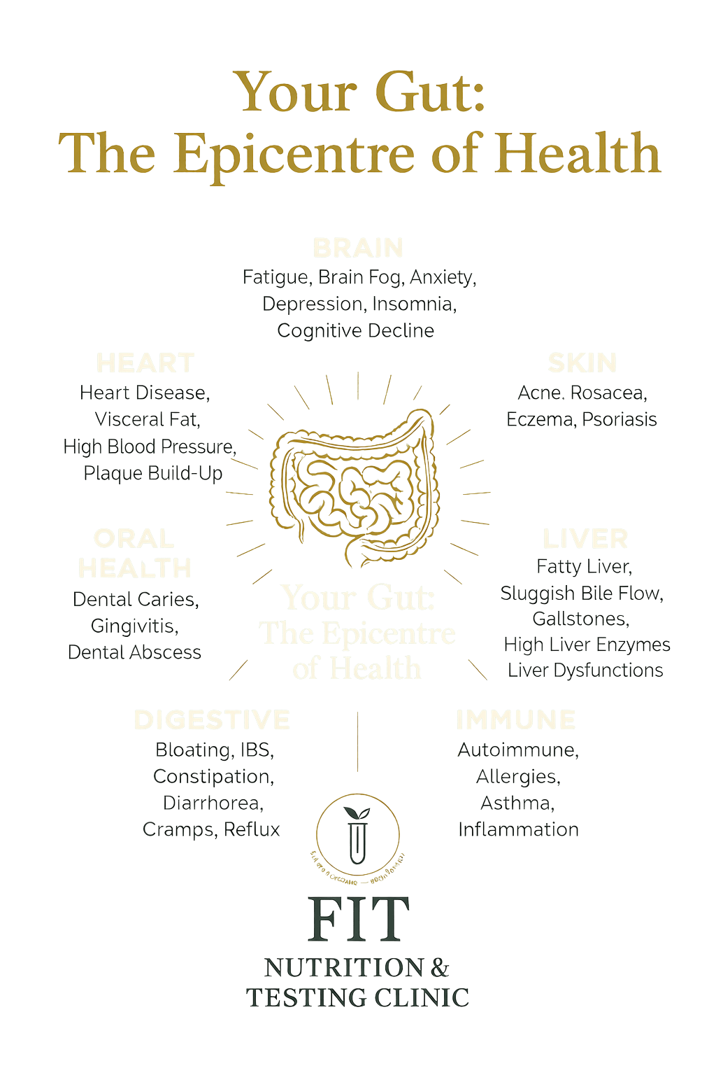 Diagram of the gut as the epicentre of bodily health for the FIT Nutrition and Testing Clinic