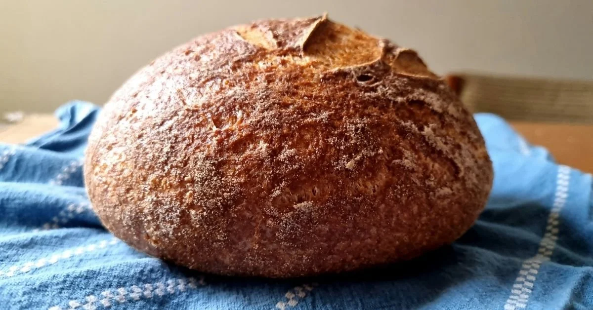 large cob loaf on blue tea towel
