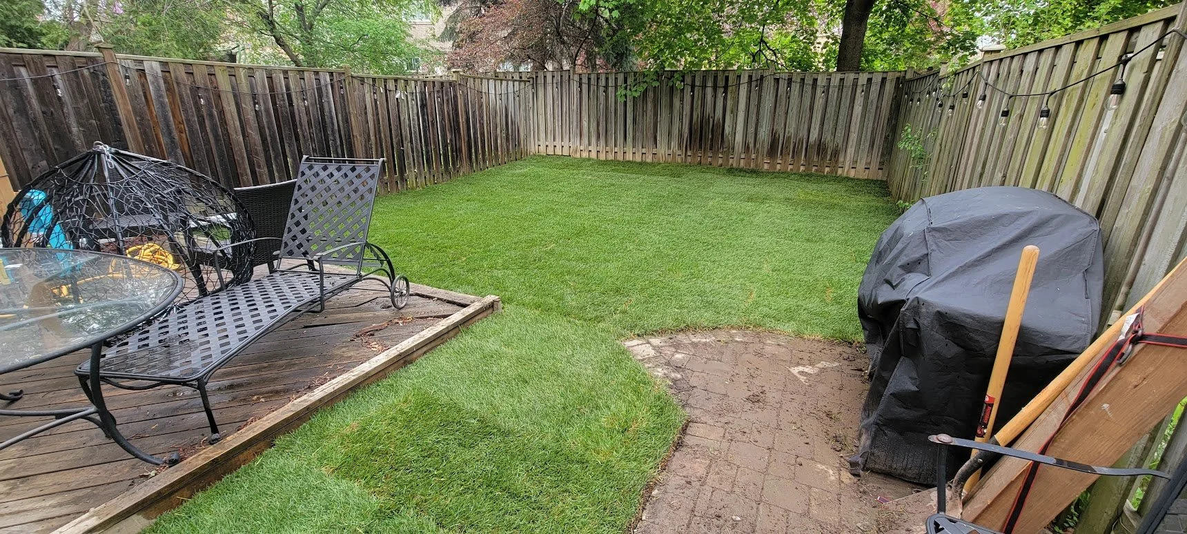 Backyard with a green lawn, wooden fence, patio area with outdoor furniture, a covered grill, a broom, and string lights hanging on the fence.