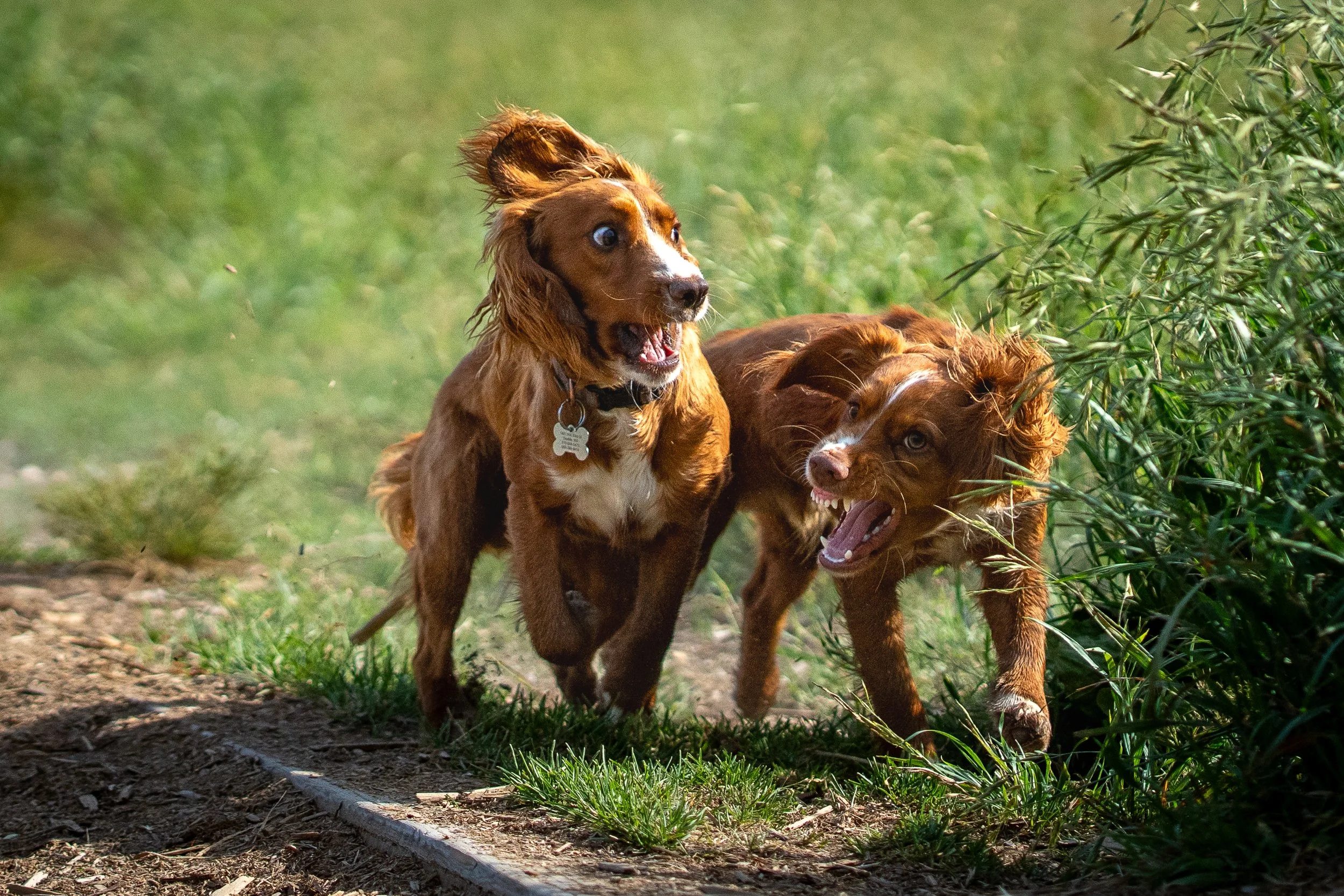 2025 to print-34.jpg