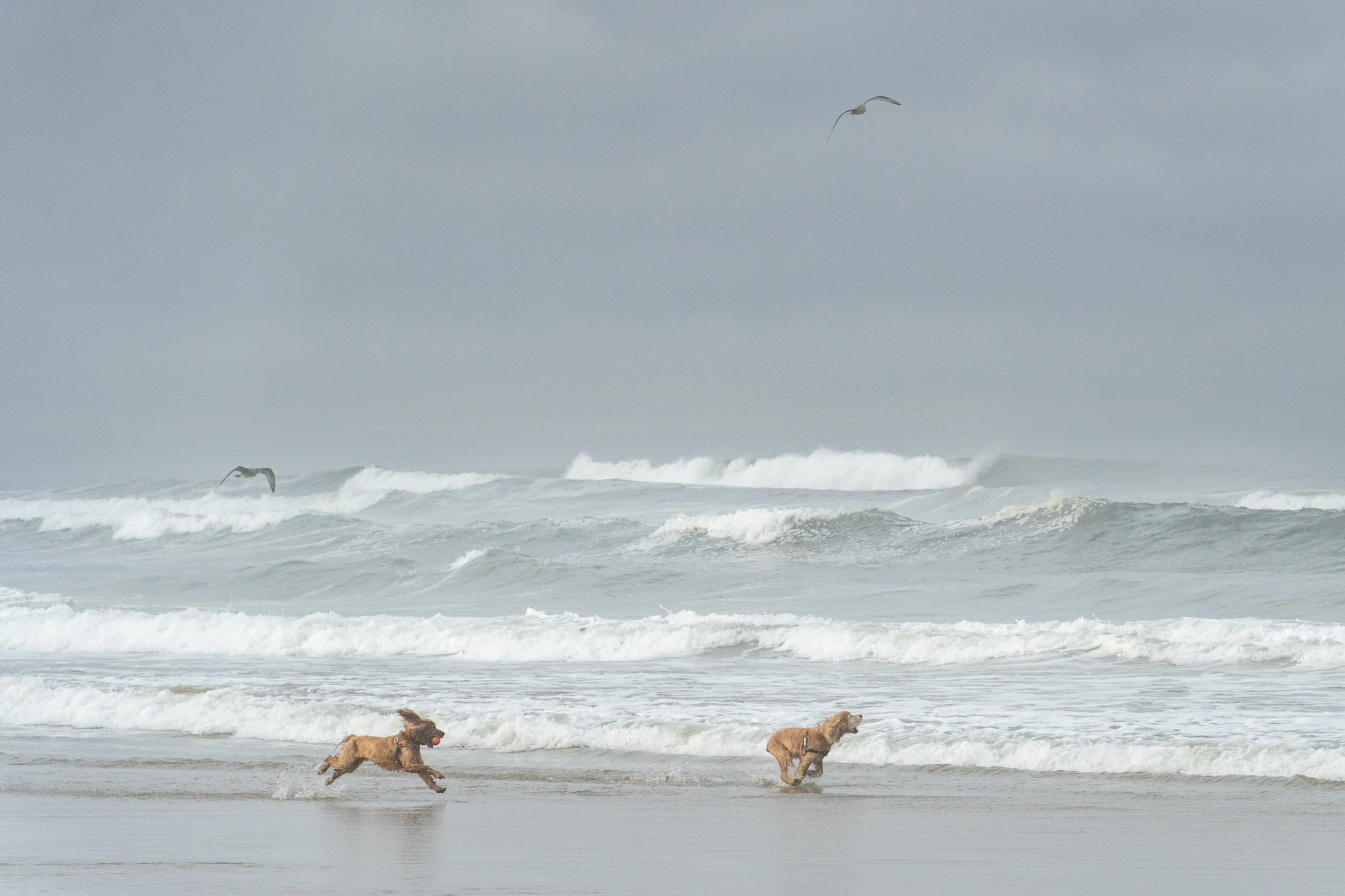 2025 to print-16.jpg